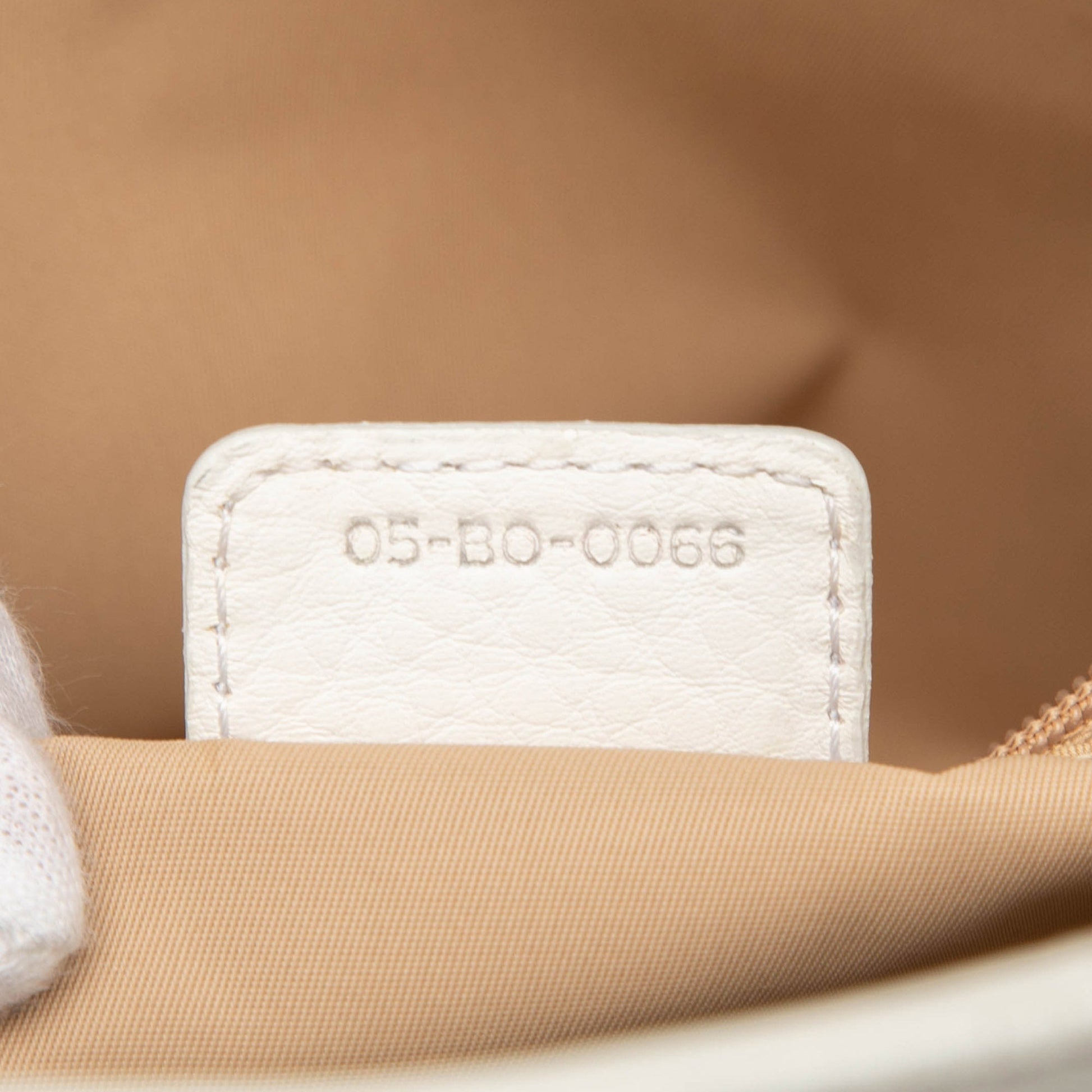 Dior Diorissimo Trotter Canvas Street Chic Tote
