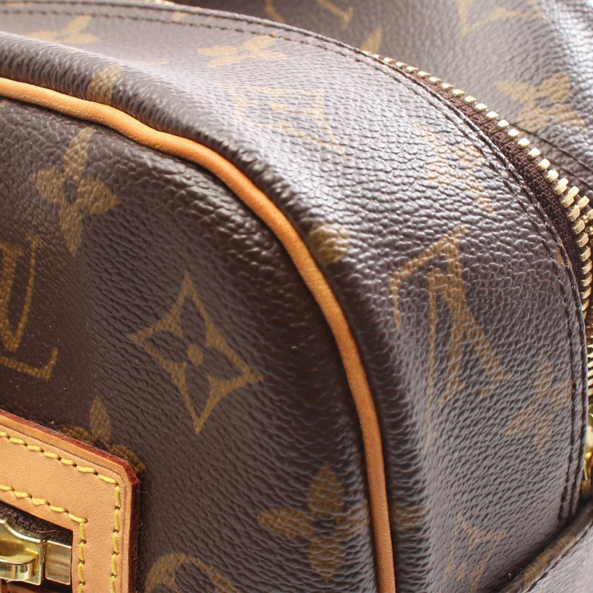 Louis Vuitton Monogram Cite GM
