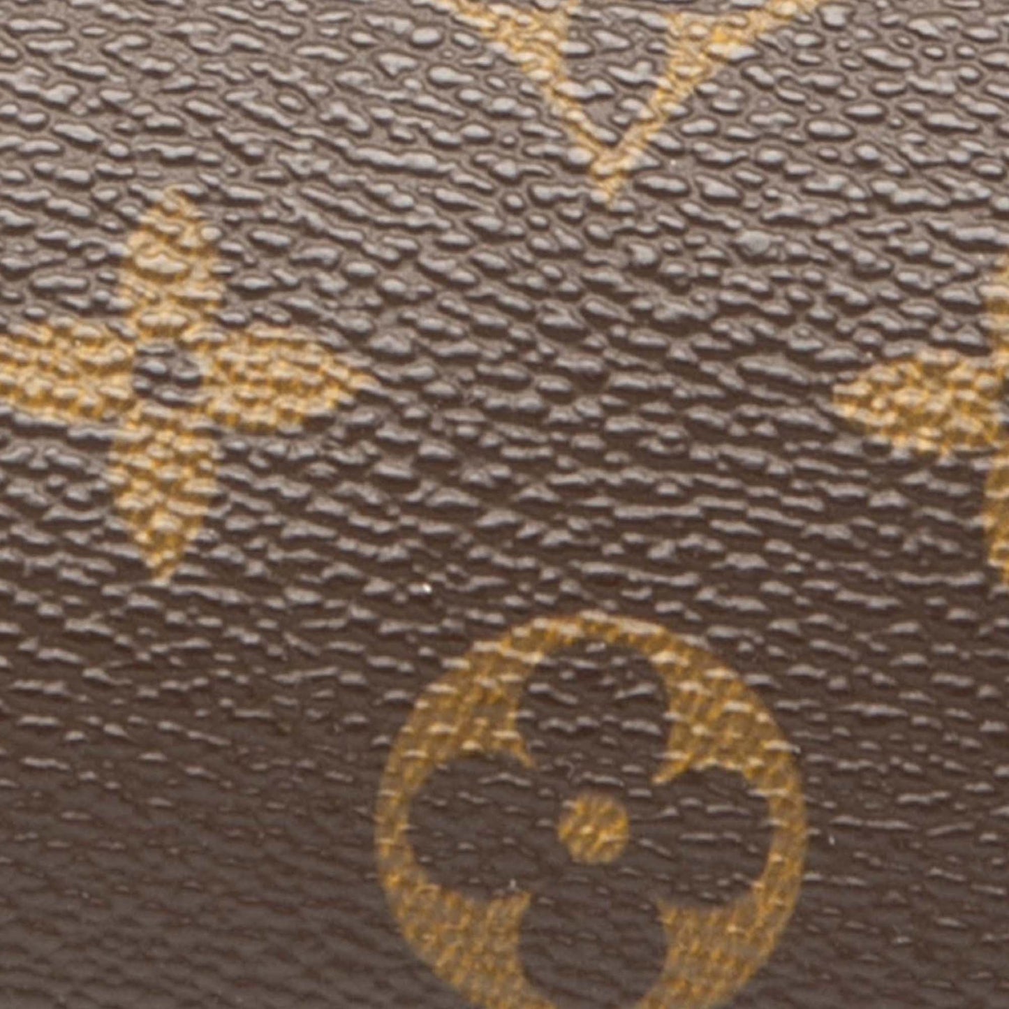 Louis Vuitton Monogram Papillon Pochette