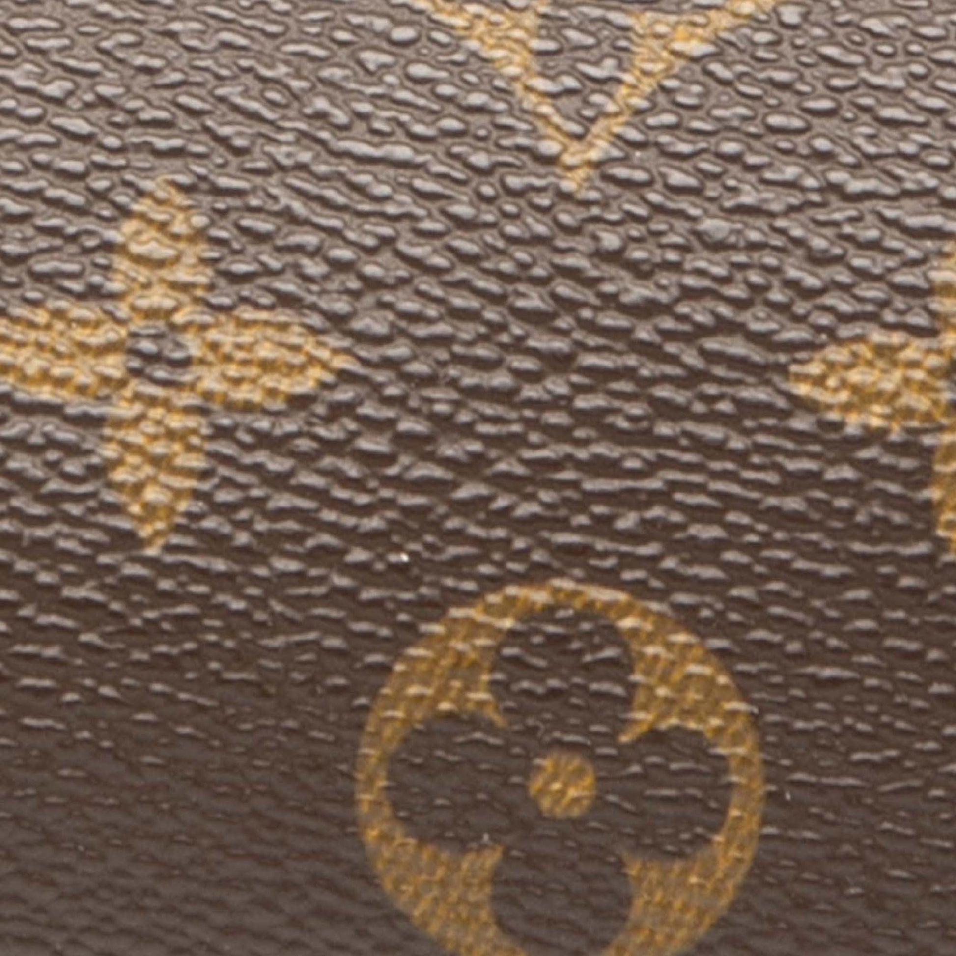 Louis Vuitton Monogram Papillon Pochette