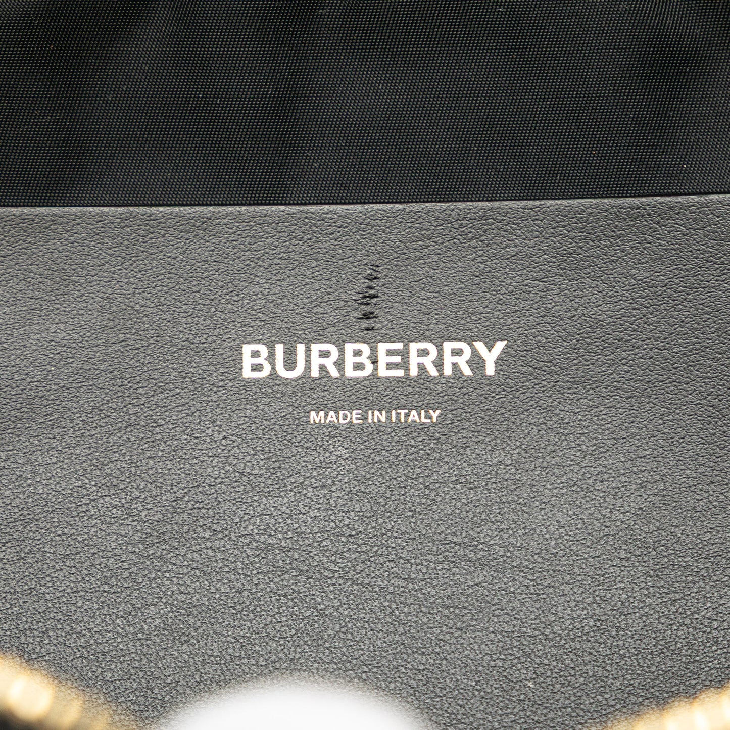 Burberry TB Monogram Nylon Sonny Belt Bag