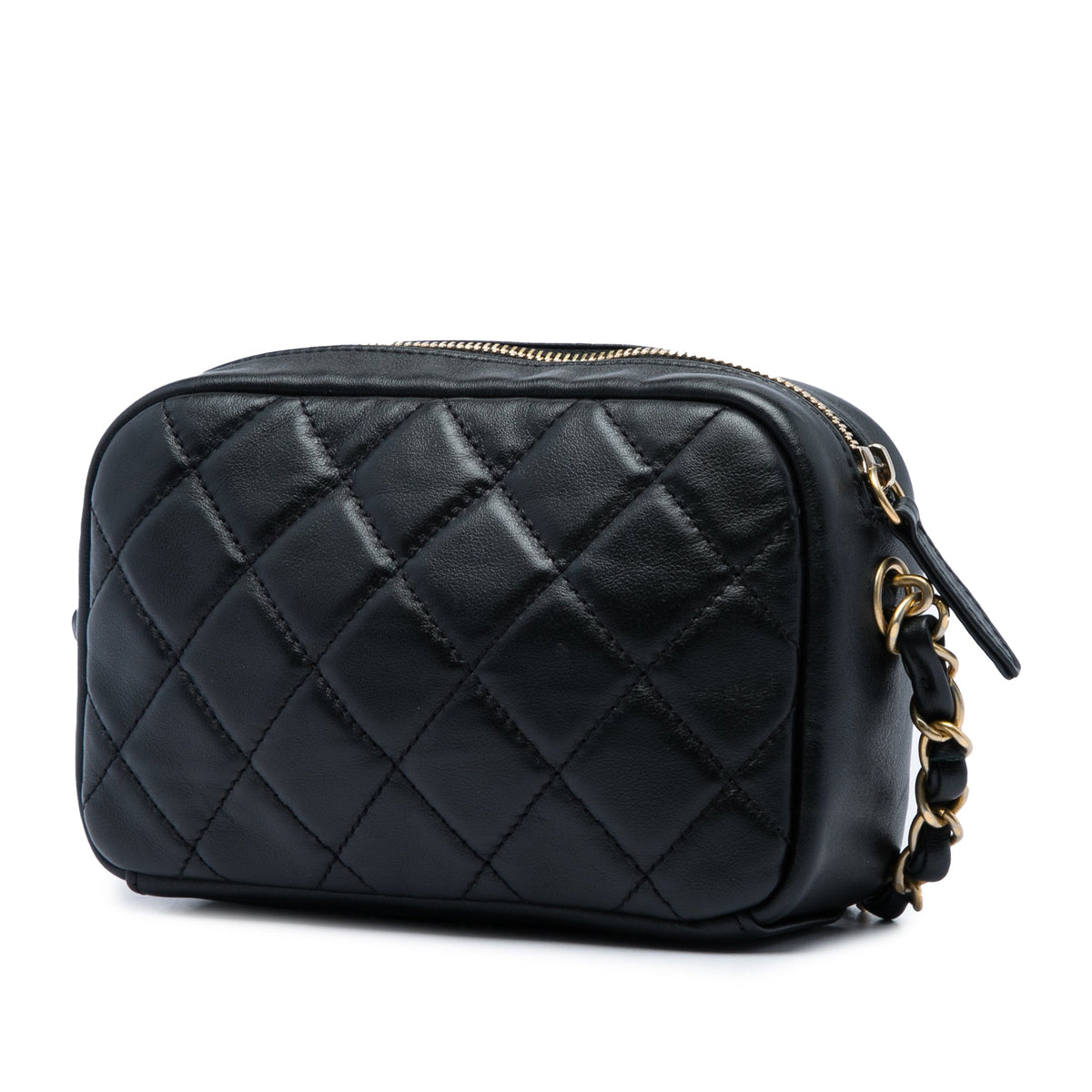 Chanel Small Quilted Lambskin Buckle Camera Bag