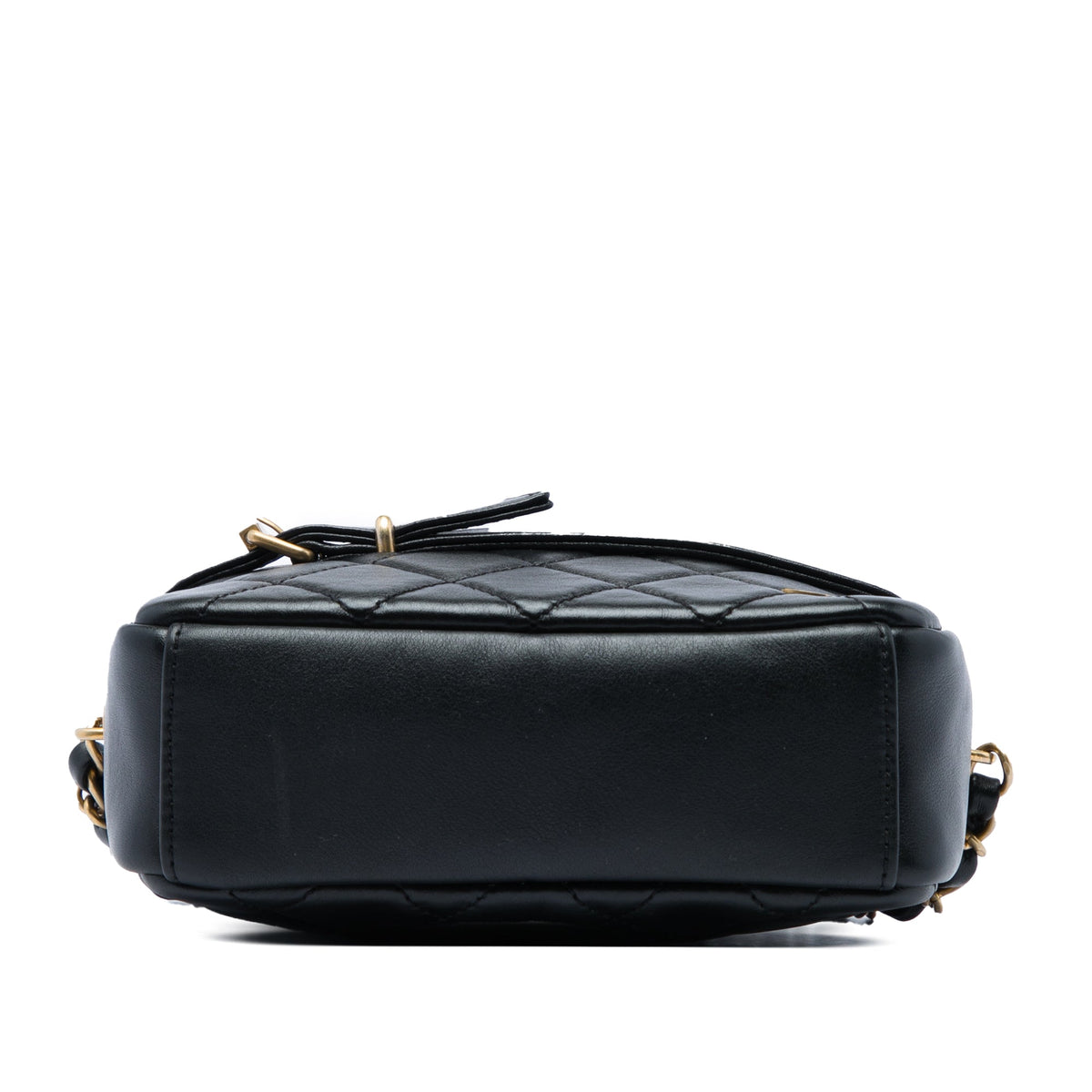 Chanel Small Quilted Lambskin Buckle Camera Bag