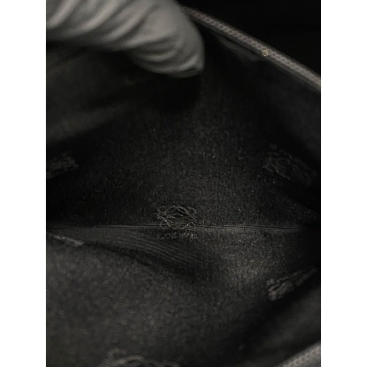 LOEWE Amazona — Black