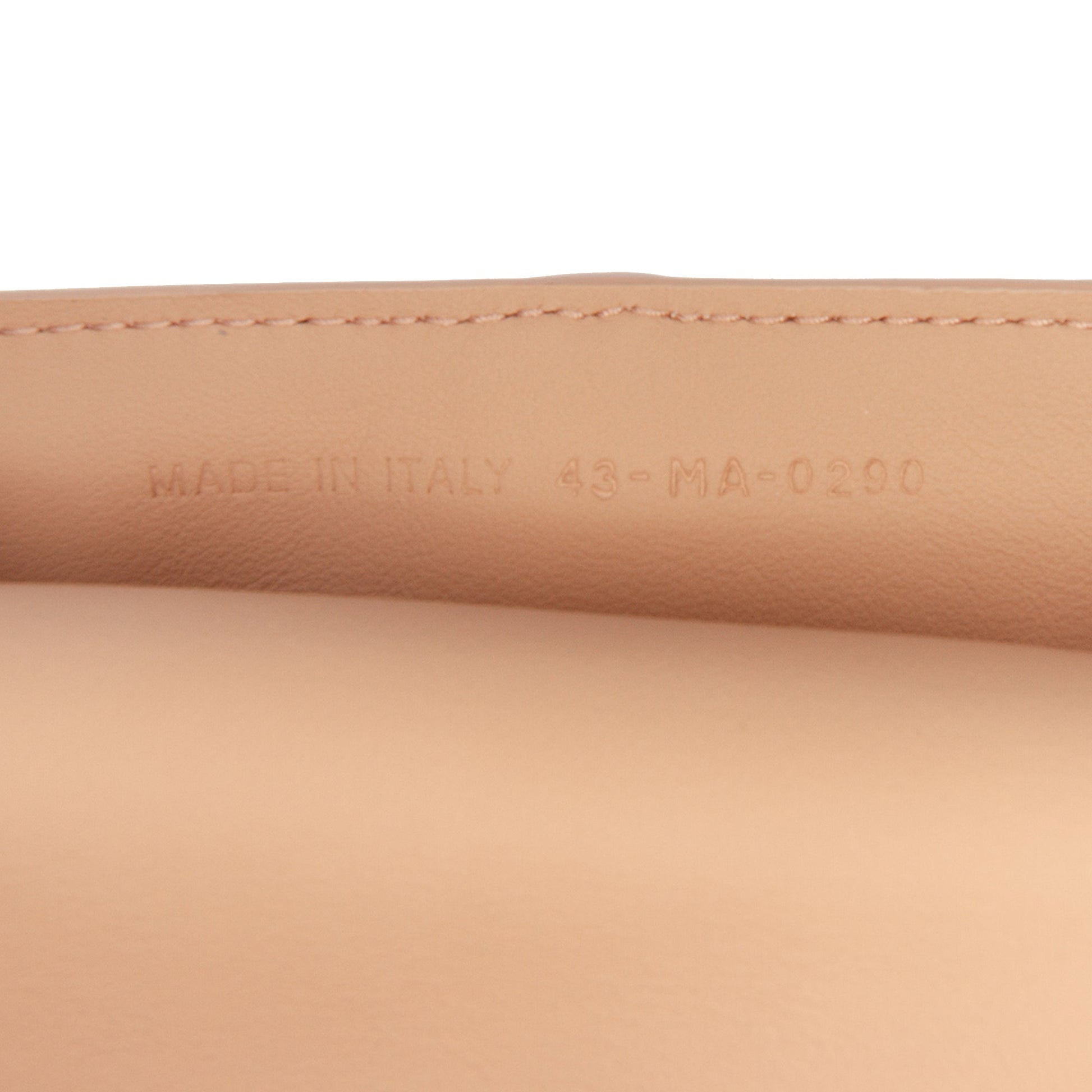Nano Ultra Matte Calfskin Saddle Chain Pouch