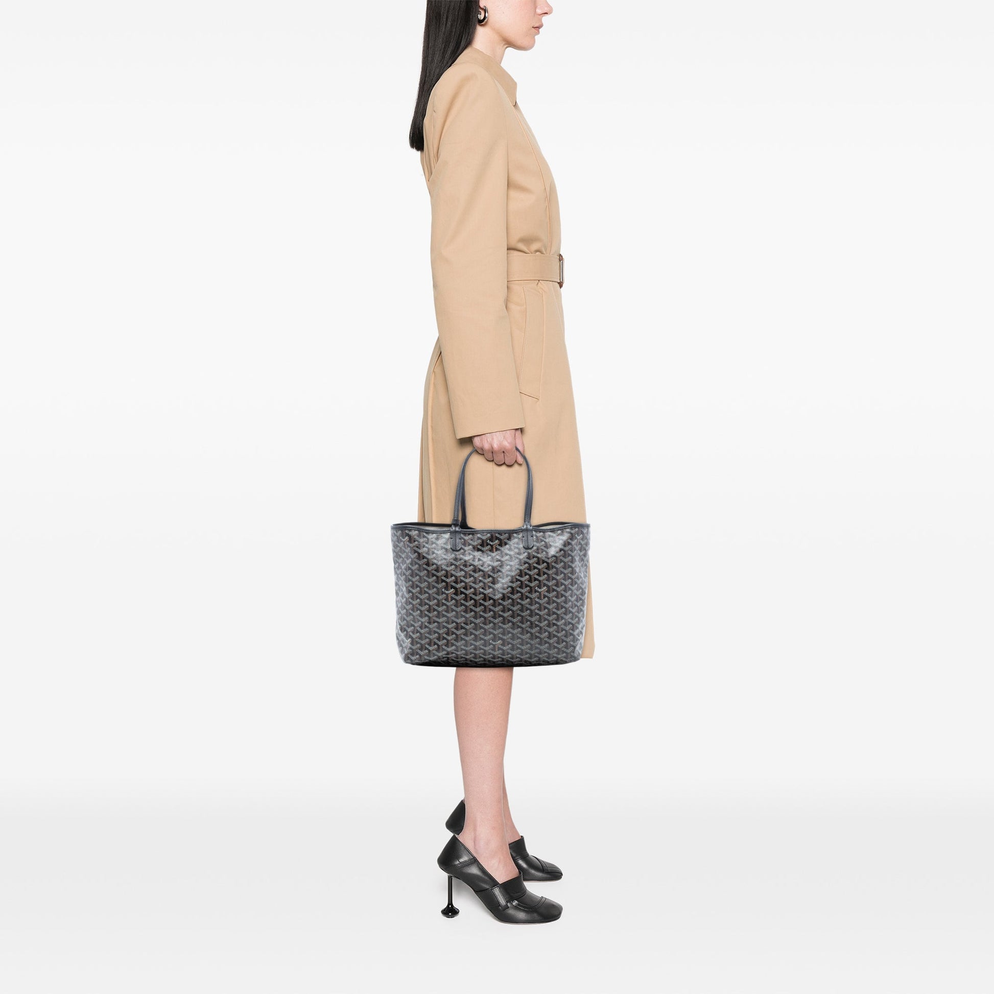 Goyard Goyardine Saint Louis PM
