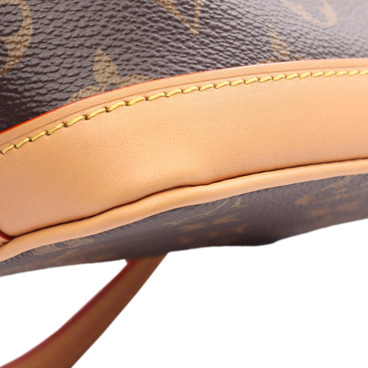 Louis Vuitton Monogram Nano Noe