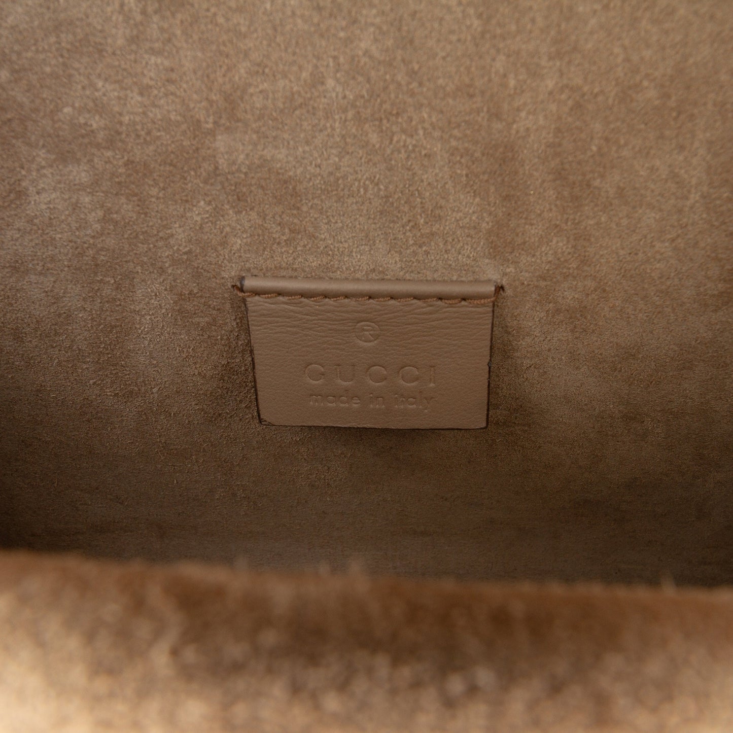 Gucci Small GG Supreme Dionysus Crossbody