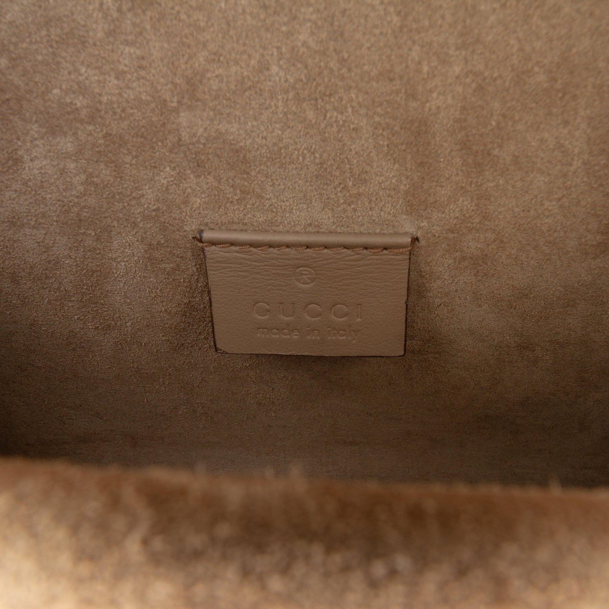 Gucci Small GG Supreme Dionysus Crossbody