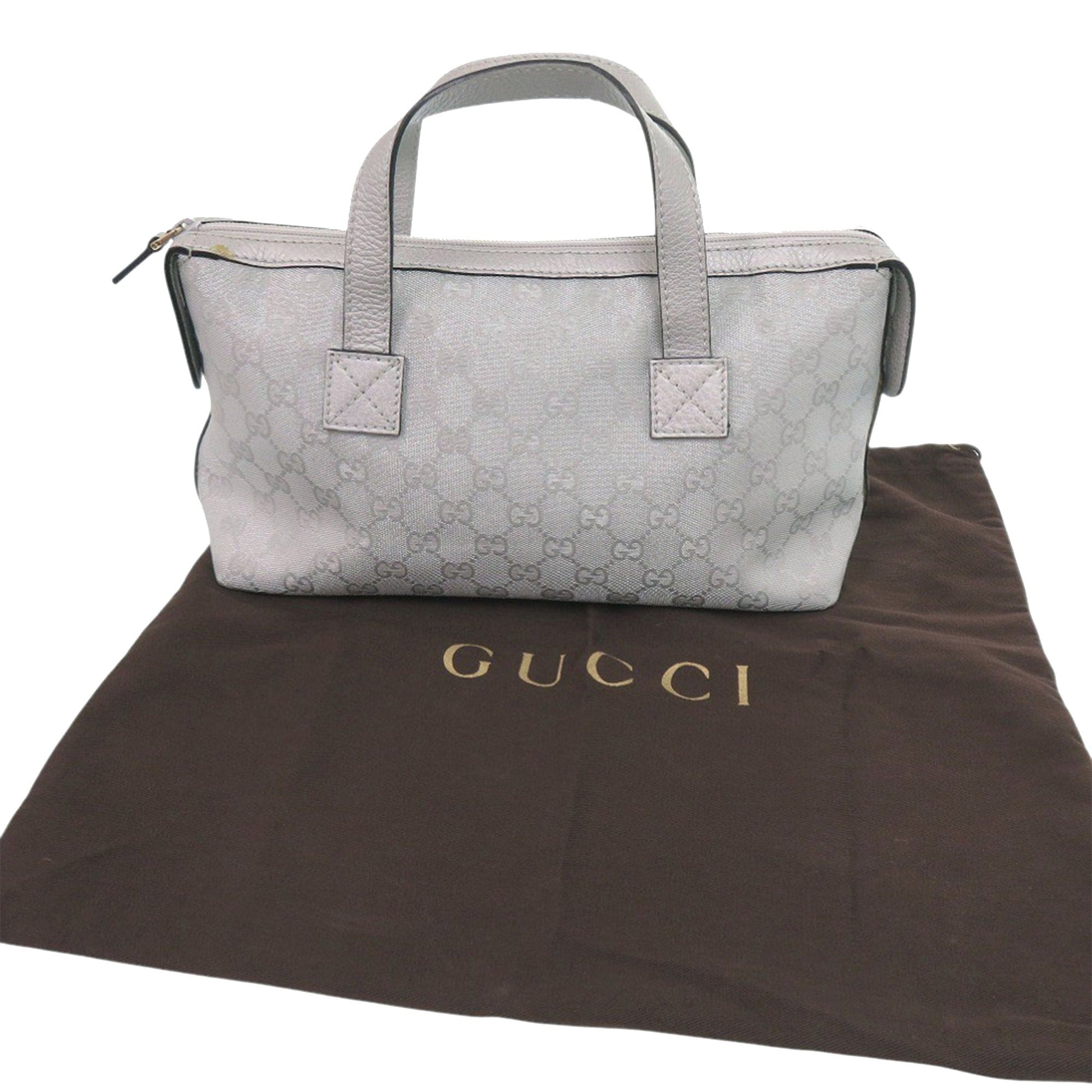 GG Canvas Handbag