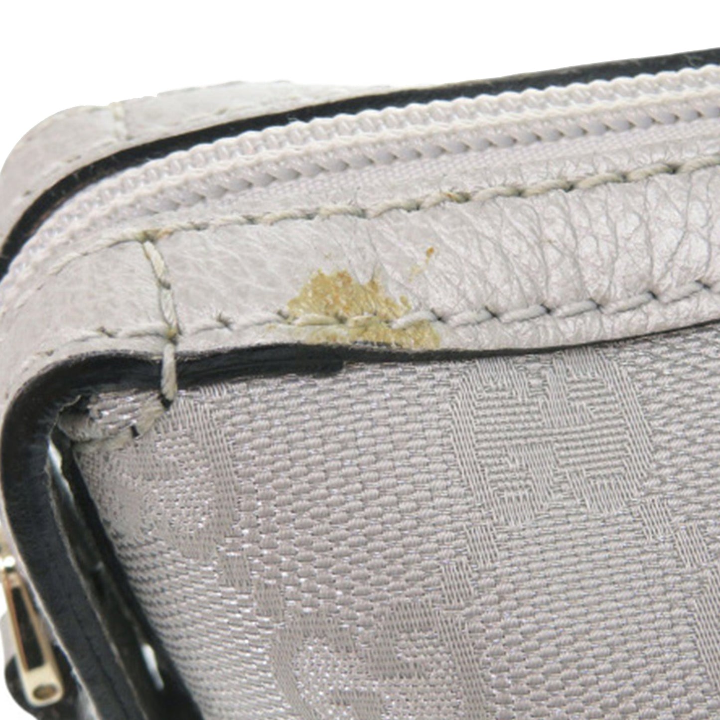 GG Canvas Handbag