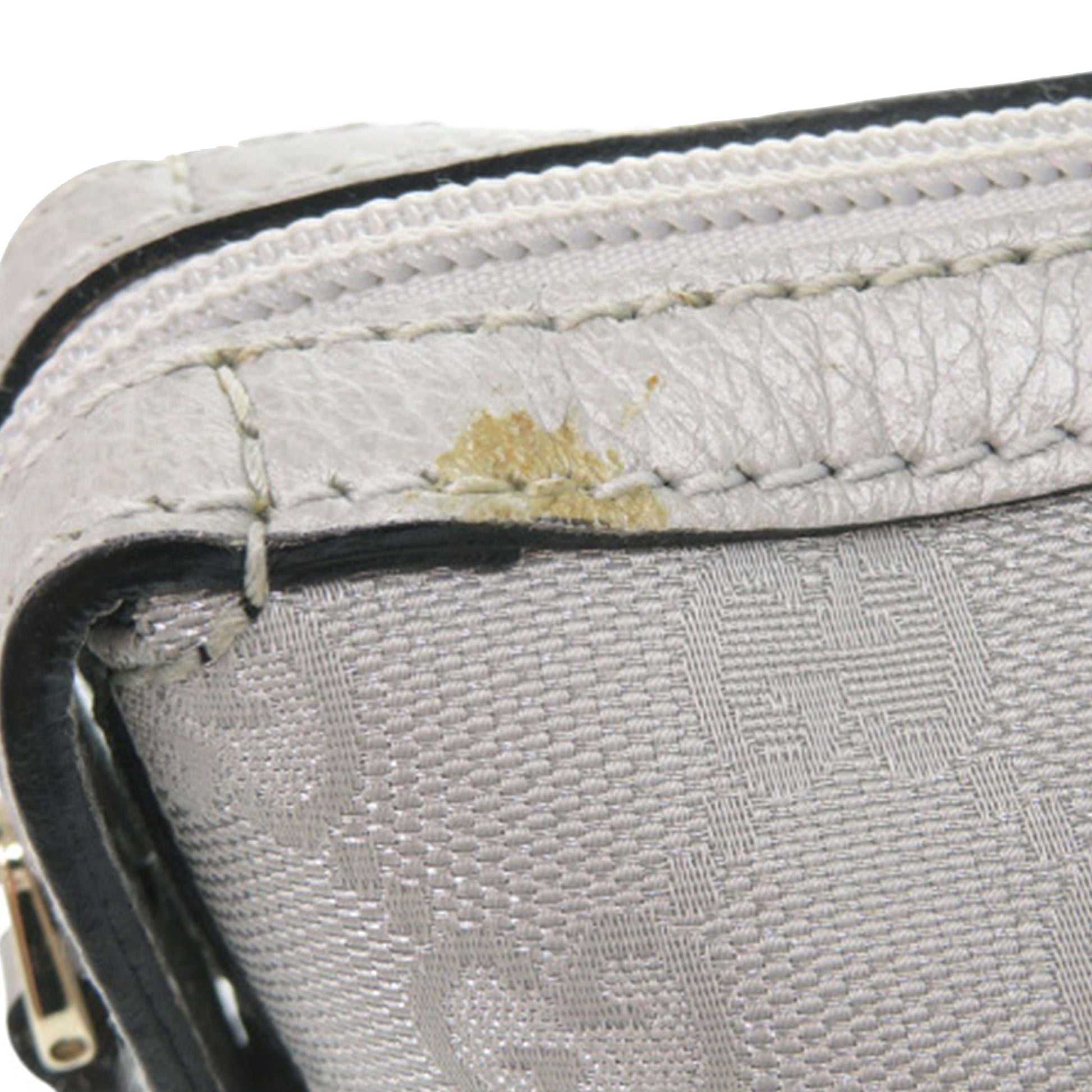 GG Canvas Handbag