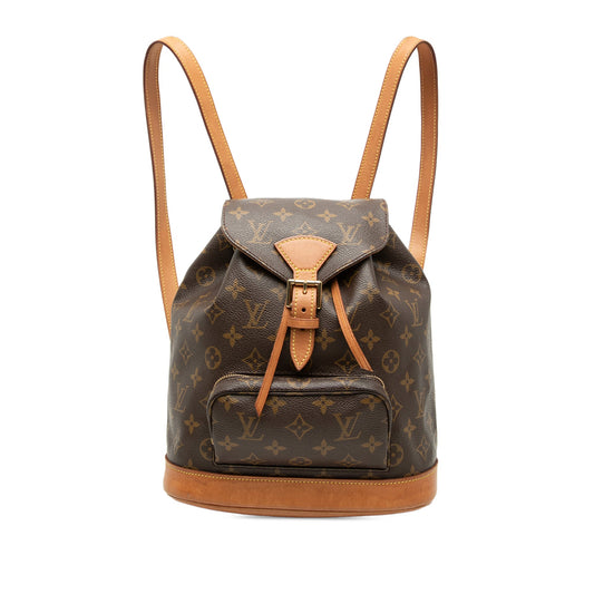 Louis Vuitton Monogram Montsouris MM