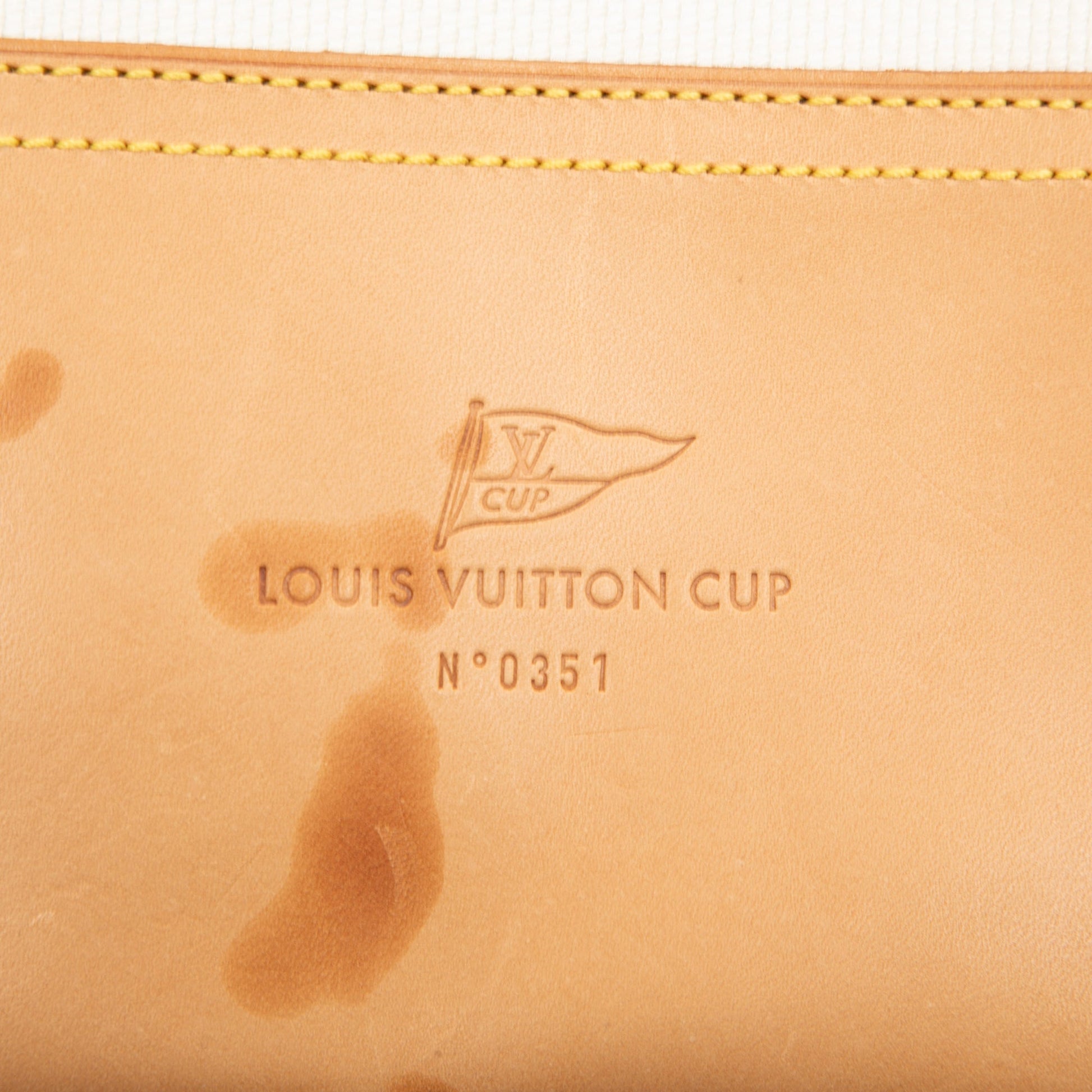 Louis Vuitton Damier Geant LV Cup Cube