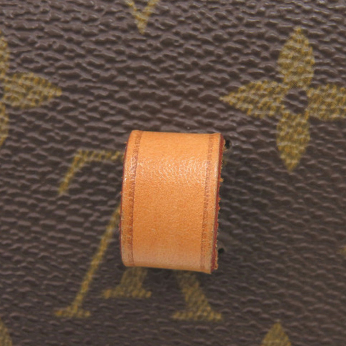 Louis Vuitton Monogram Pochette Florentine