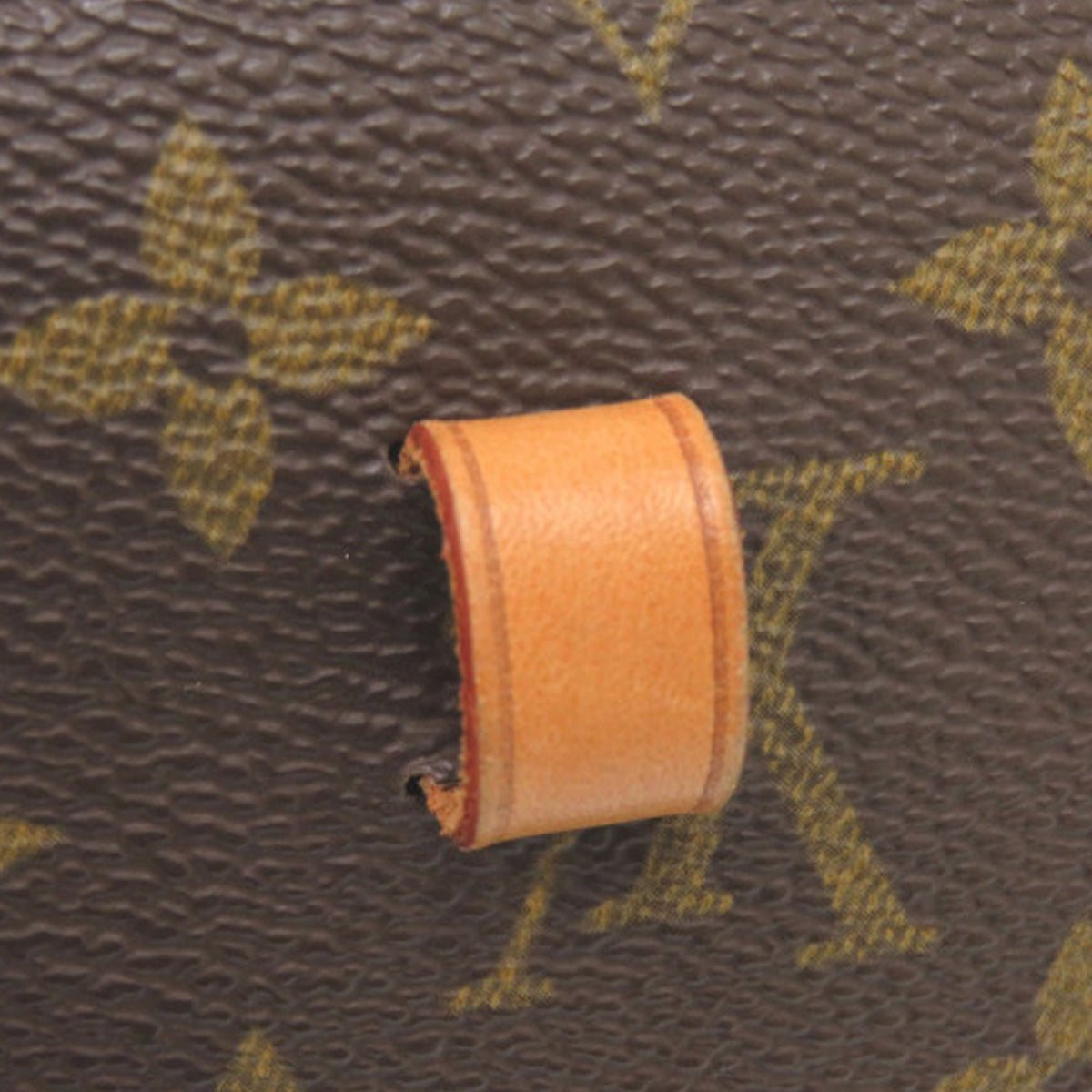 Louis Vuitton Monogram Pochette Florentine