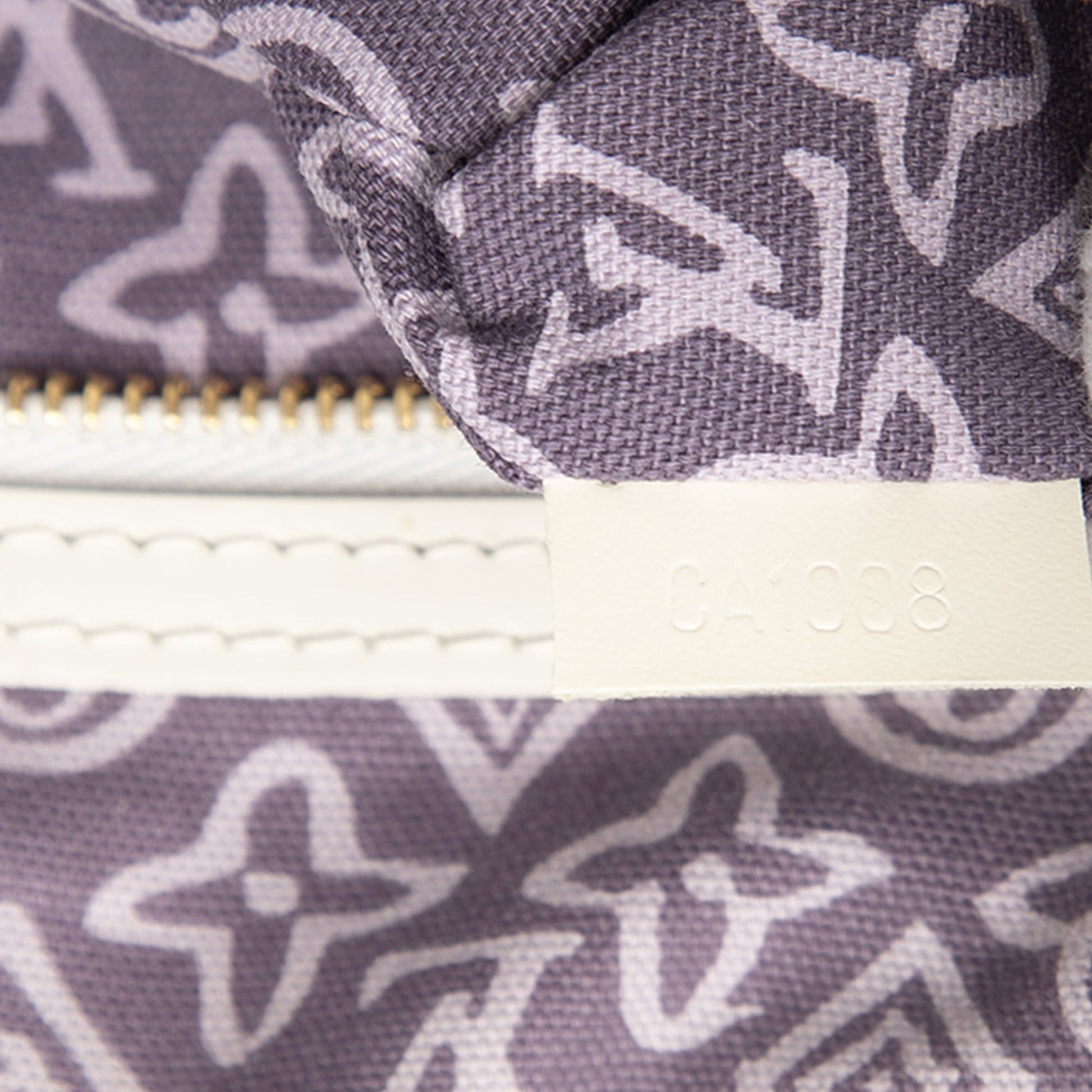 Louis Vuitton Monogram Tahitienne Cabas PM