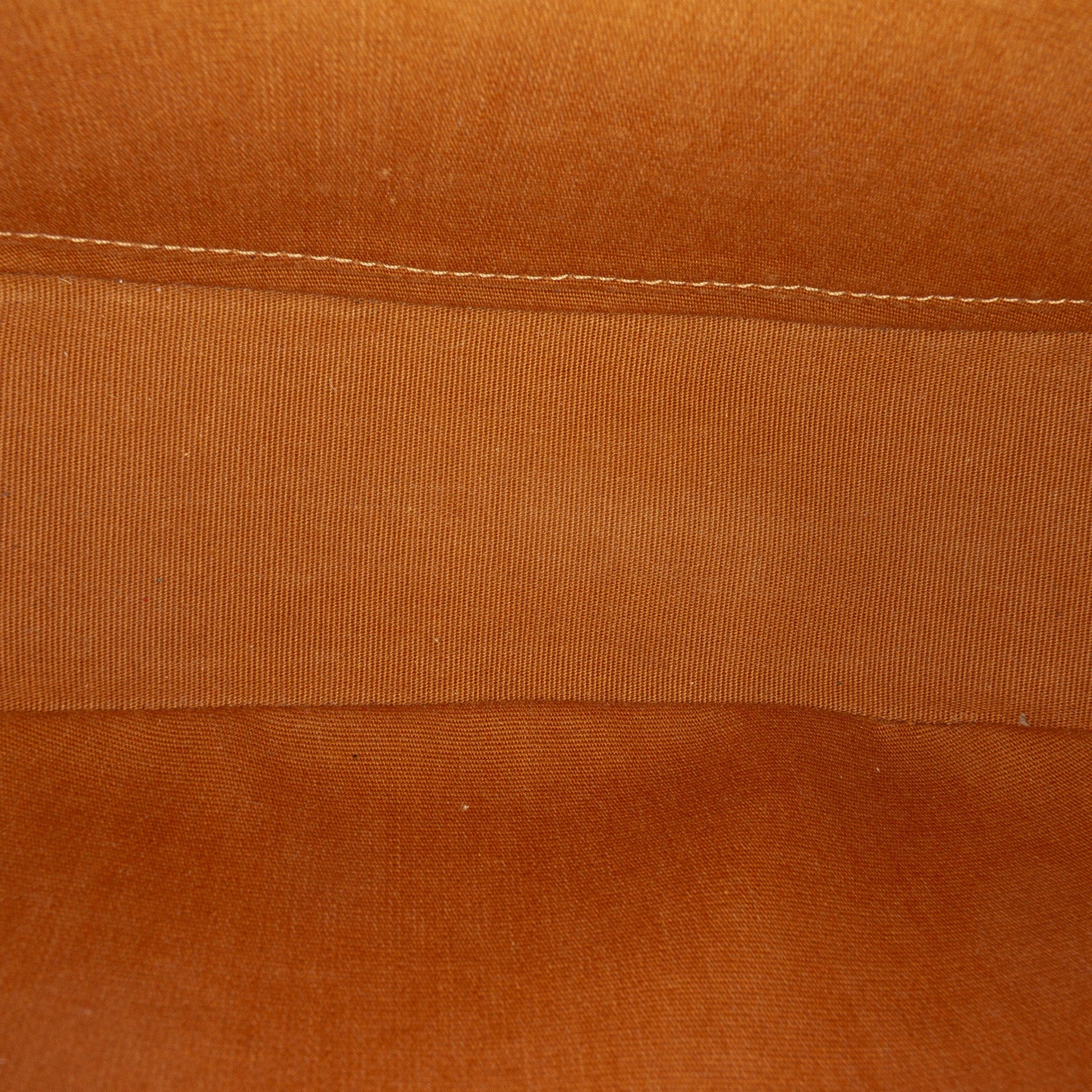 Celine Triomphe Coated Canvas Ava Shoulder Bag