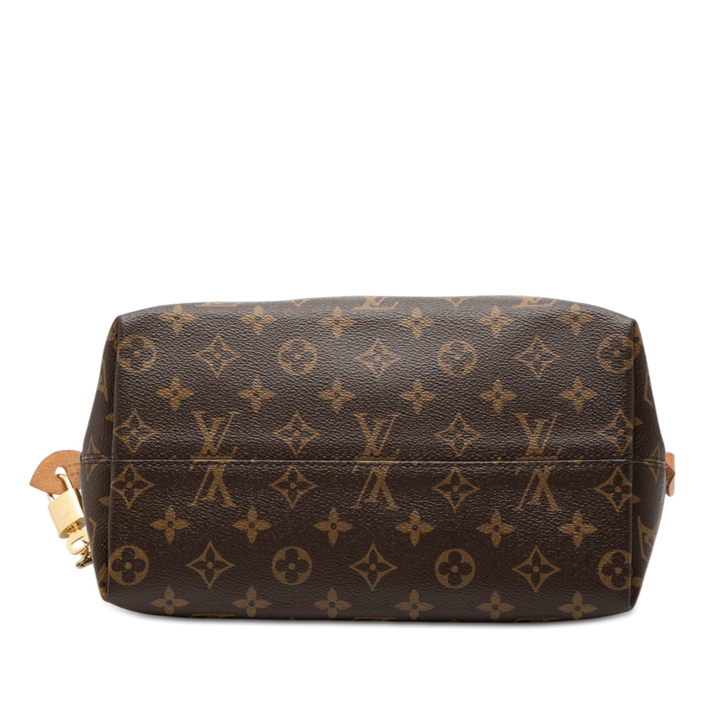 Louis Vuitton Monogram Iena PM