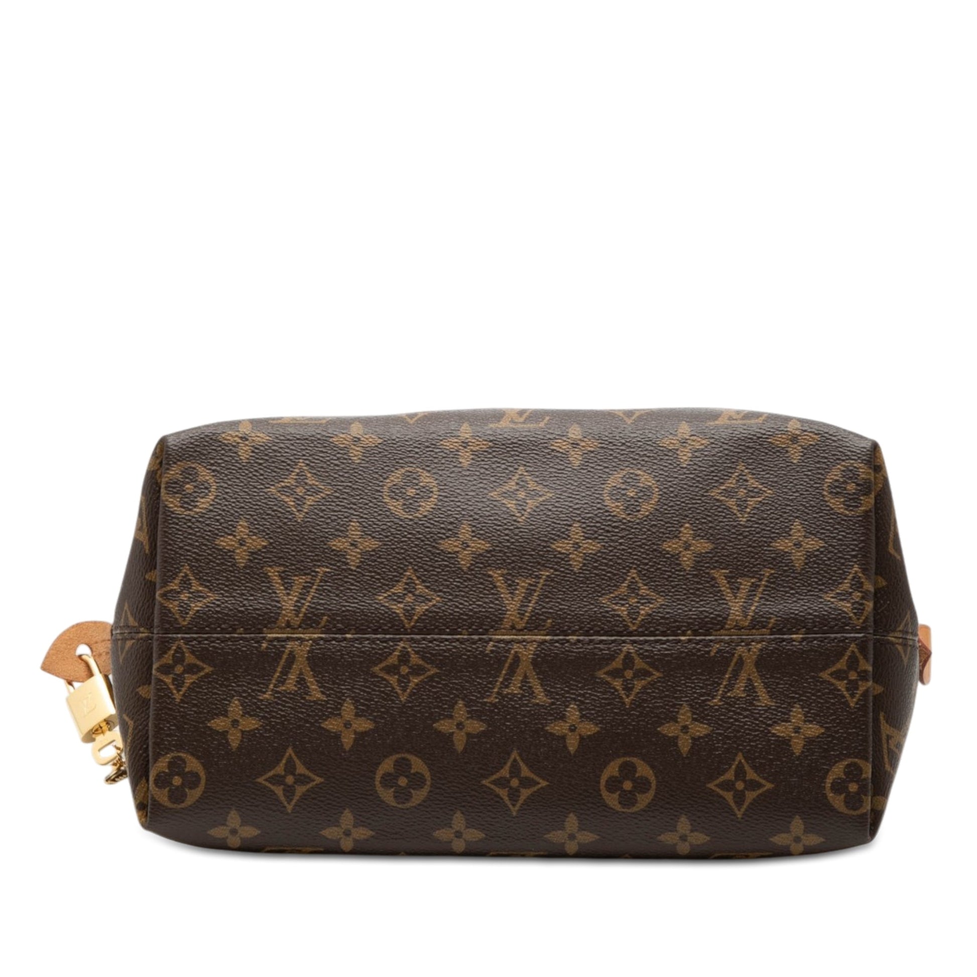 Louis Vuitton Monogram Iena PM
