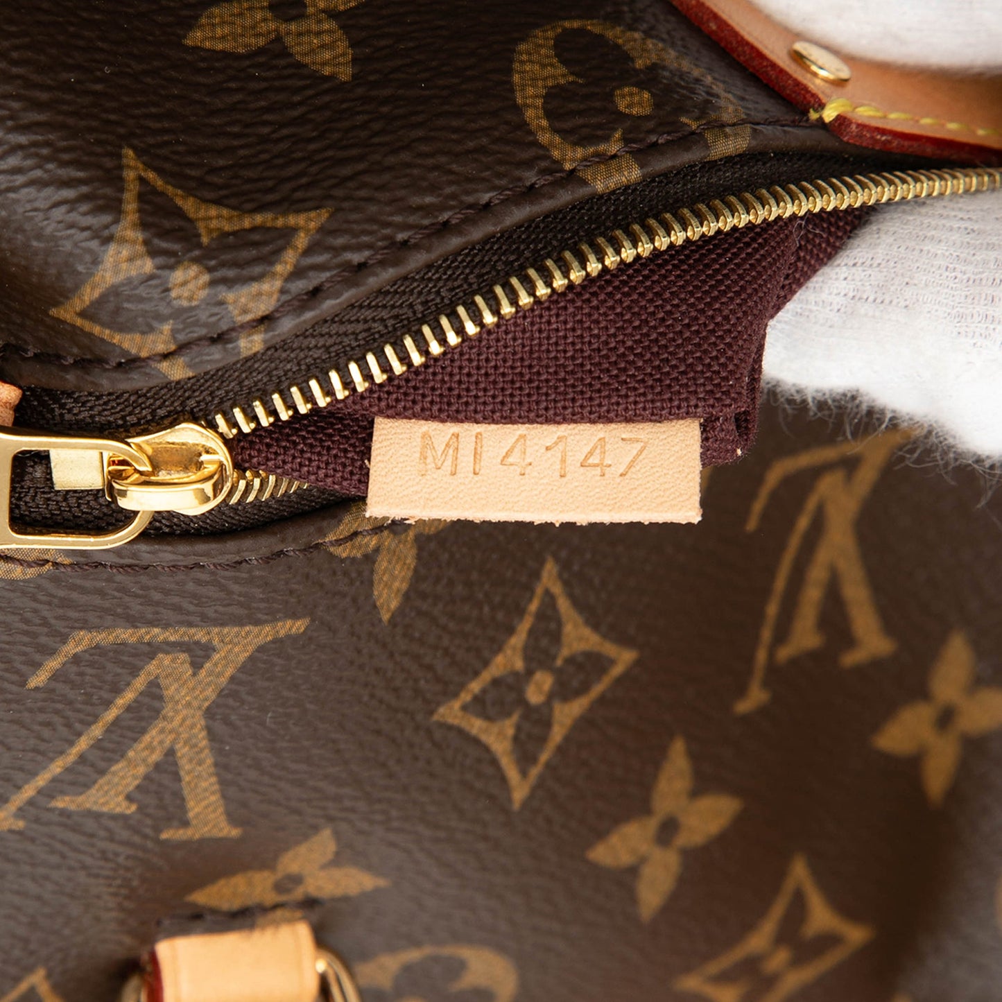 Louis Vuitton Monogram Iena PM