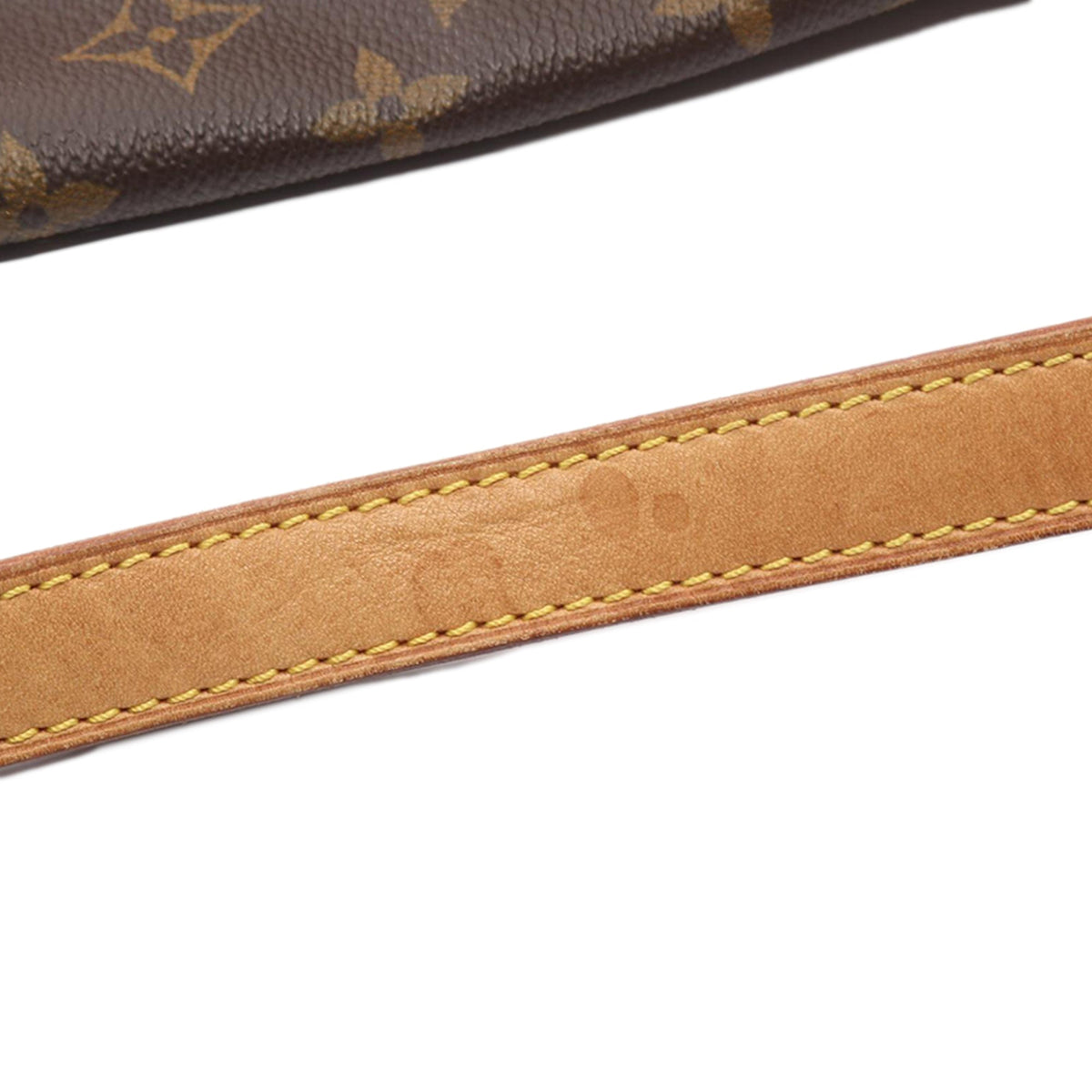 Louis Vuitton Monogram Montsouris MM