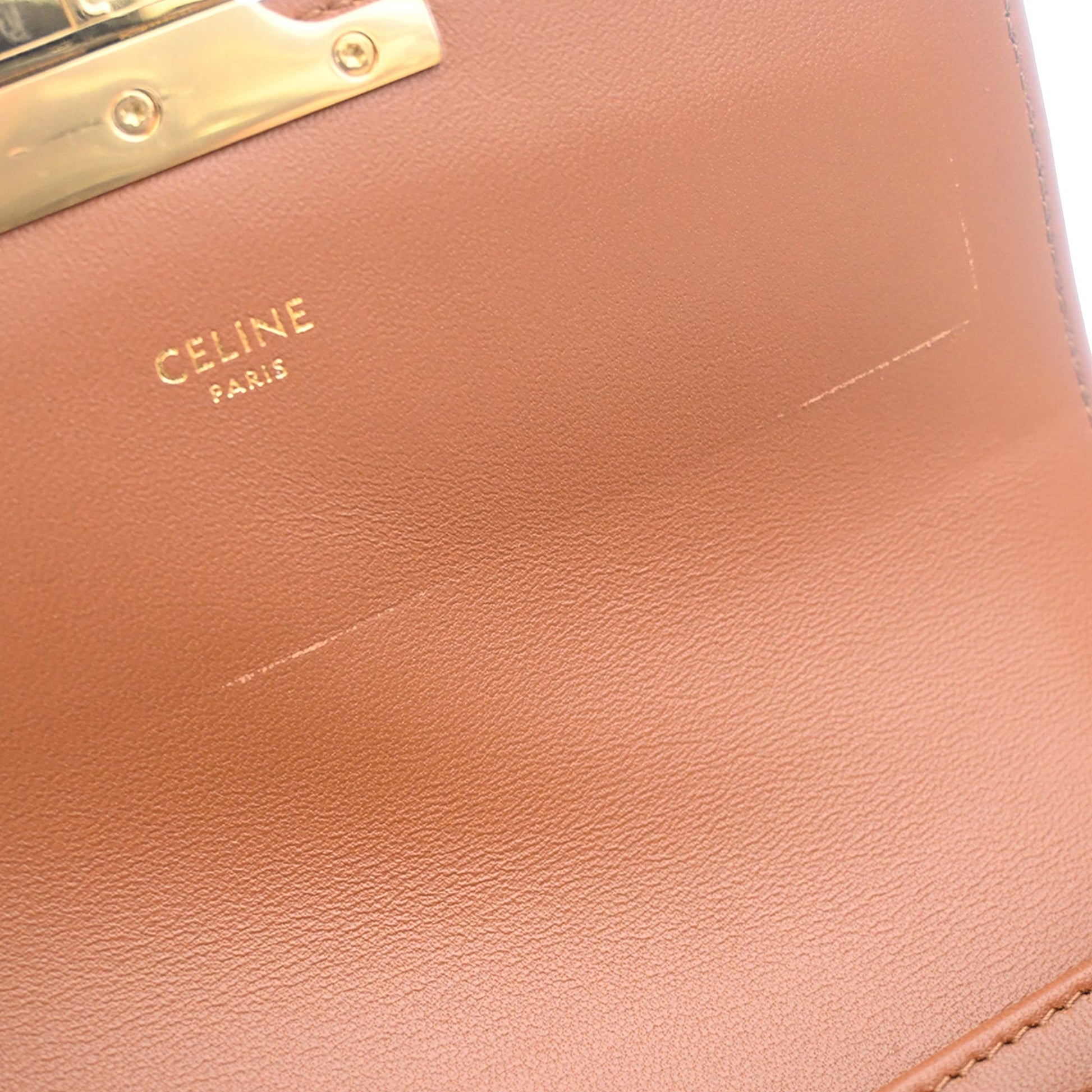 Celine Teen Triomphe Coated Canvas and Calfskin Triomphe Crossbody