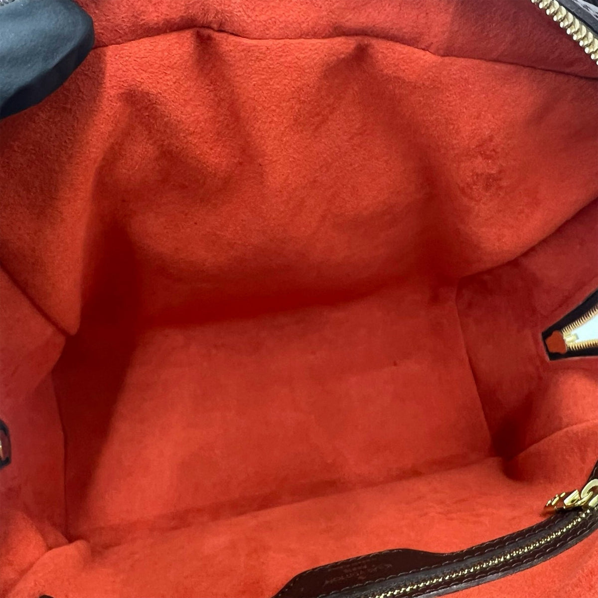 Louis Vuitton Damier Ebene Triana