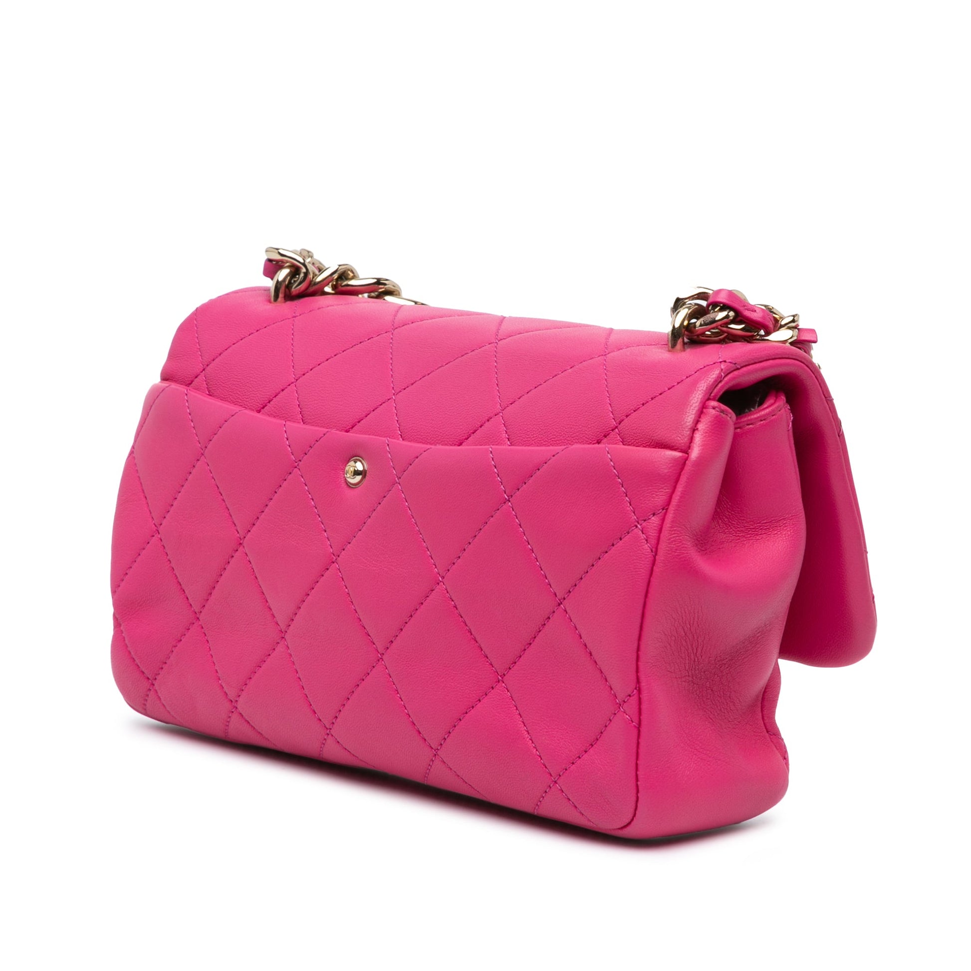 Chanel Small Lambskin Elegant Chain Single Flap