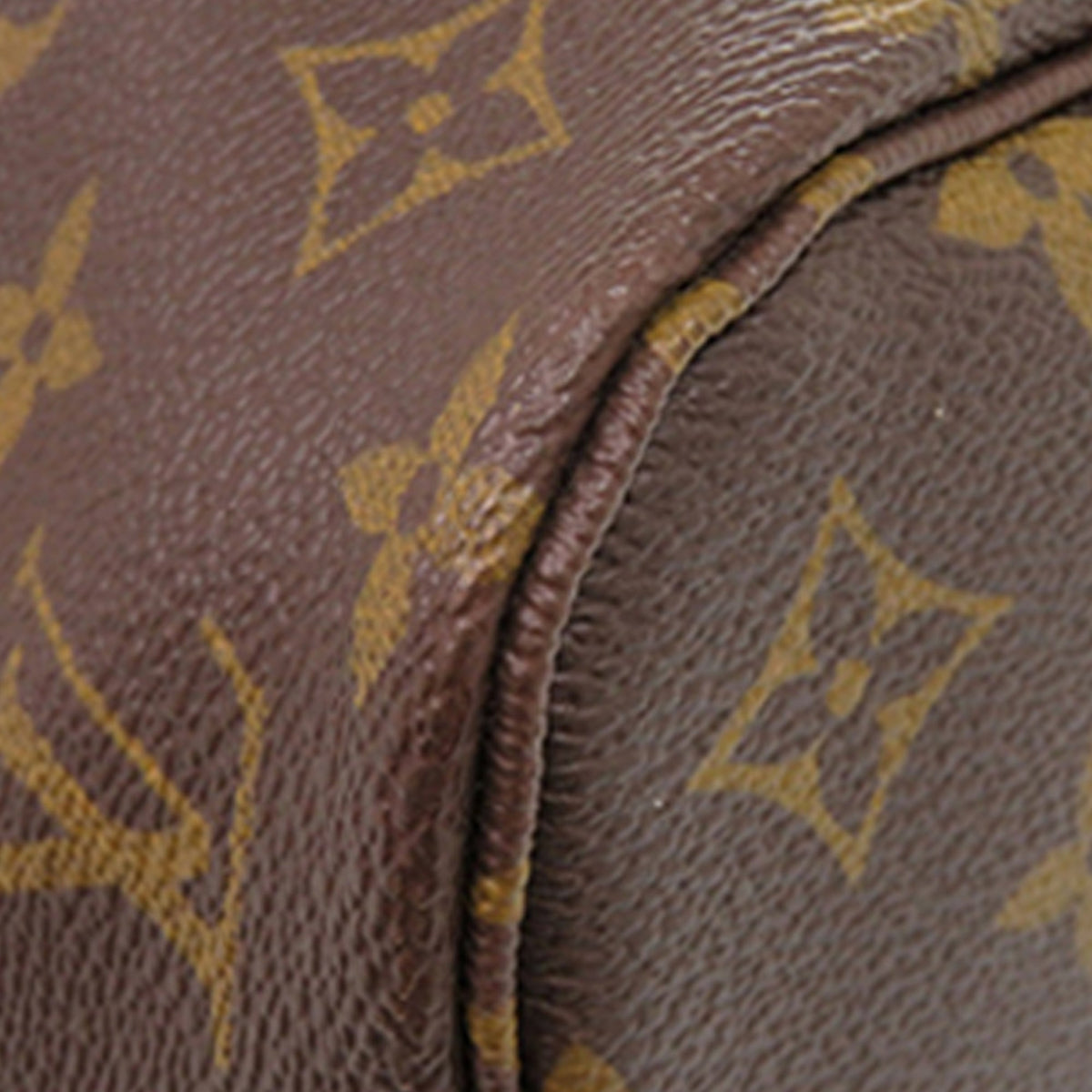 Louis Vuitton Monogram Neverfull PM