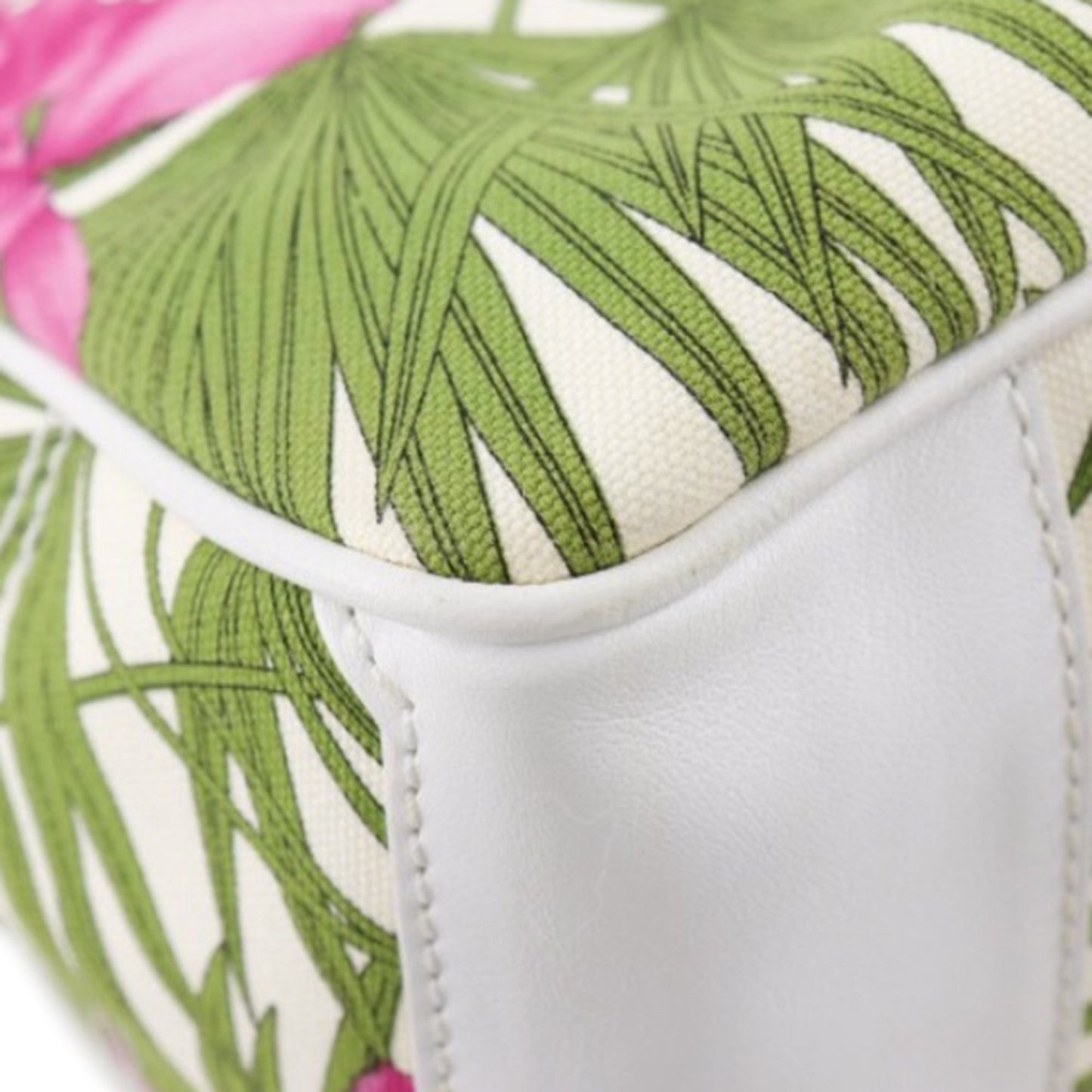 Celine Canvas Botanical Print Boogie Handbag