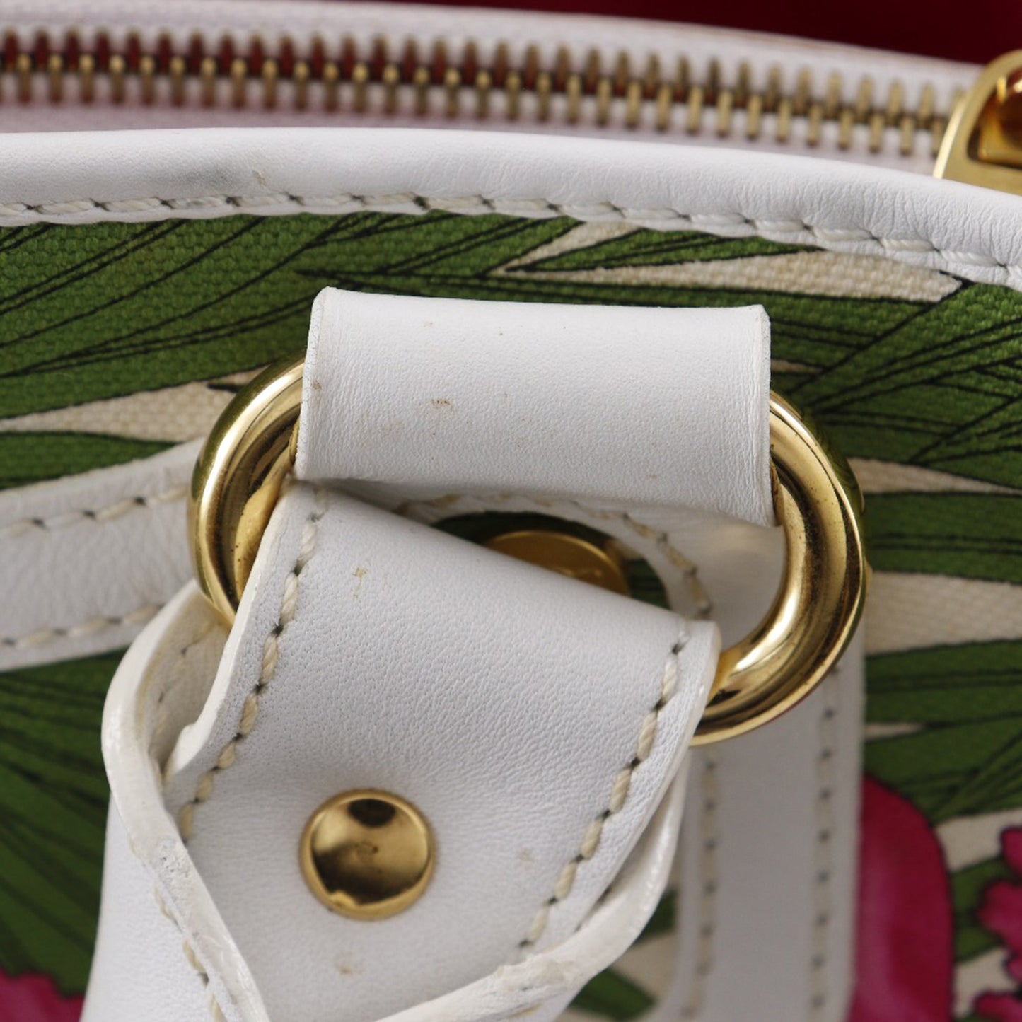 Celine Canvas Botanical Print Boogie Handbag