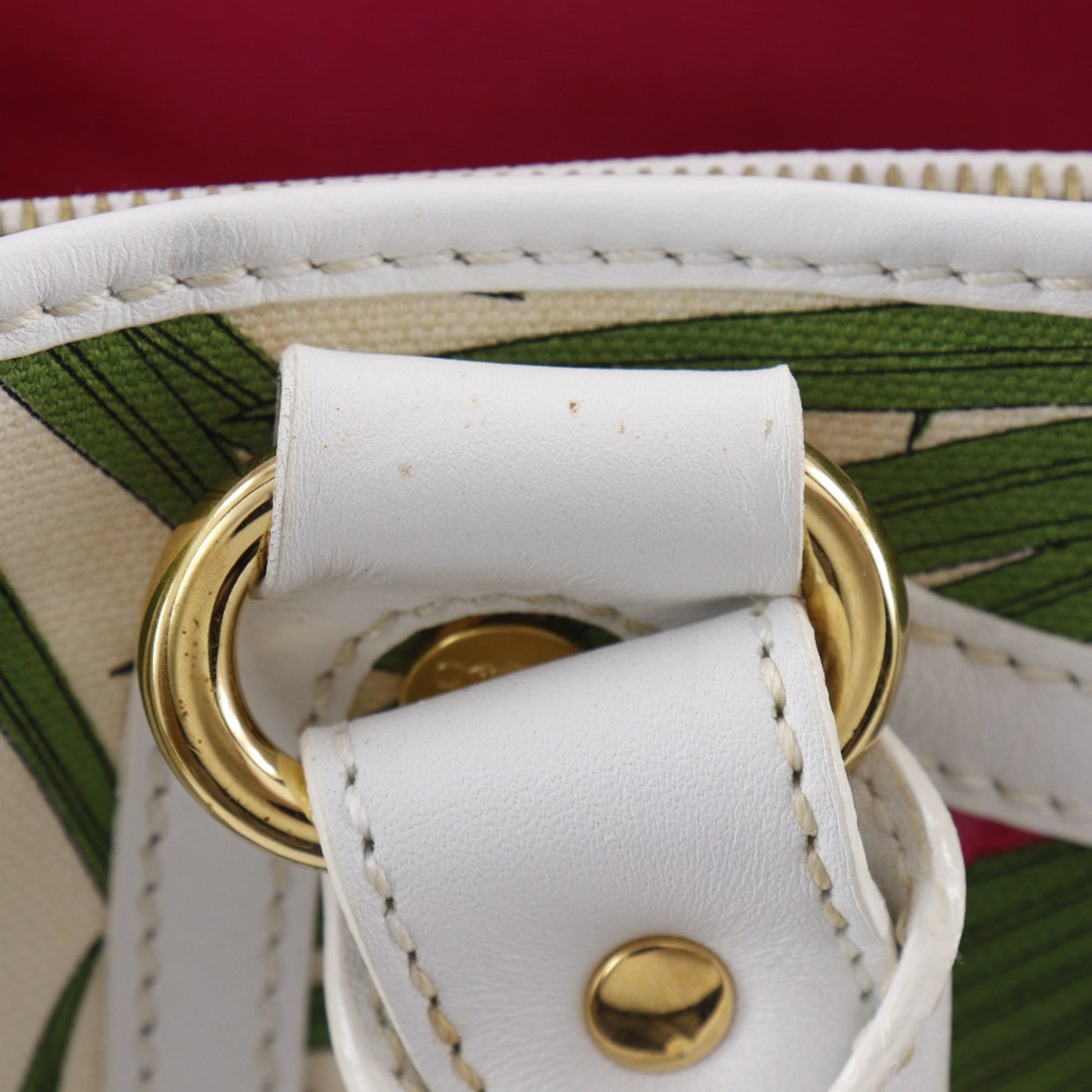 Celine Canvas Botanical Print Boogie Handbag