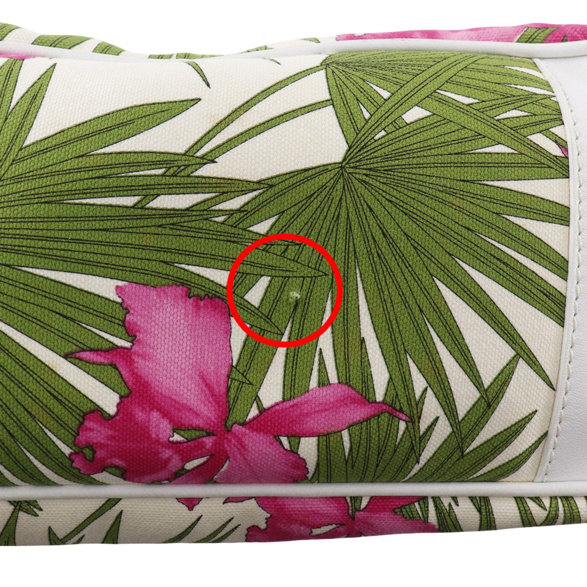 Celine Canvas Botanical Print Boogie Handbag
