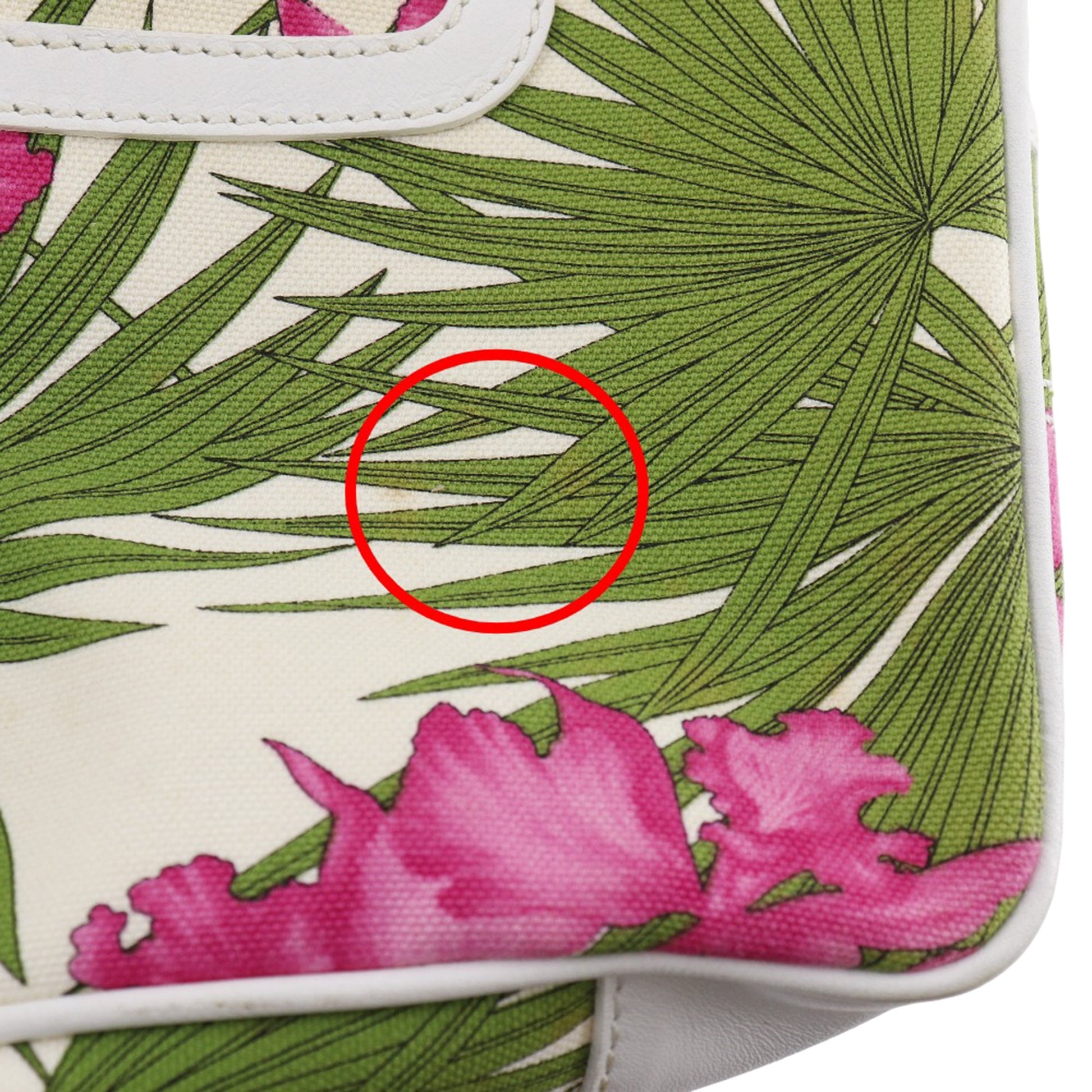 Celine Canvas Botanical Print Boogie Handbag