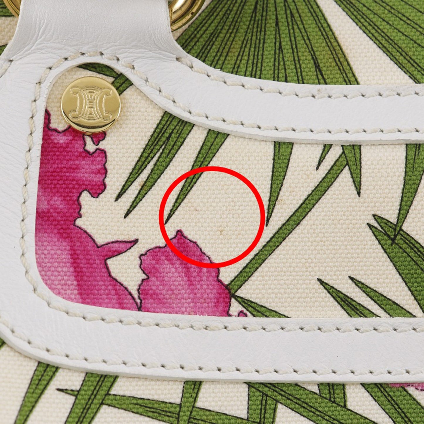Celine Canvas Botanical Print Boogie Handbag