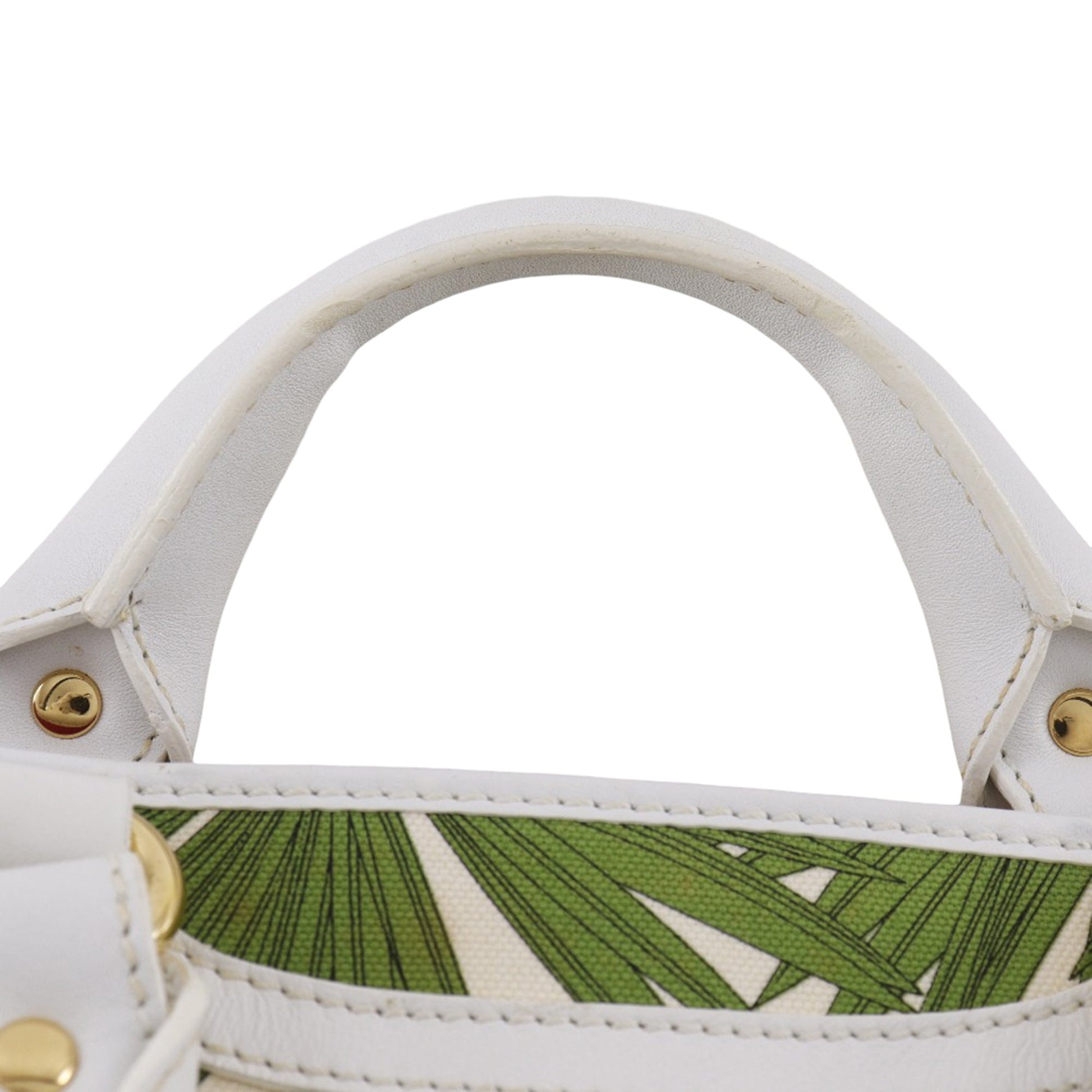 Celine Canvas Botanical Print Boogie Handbag