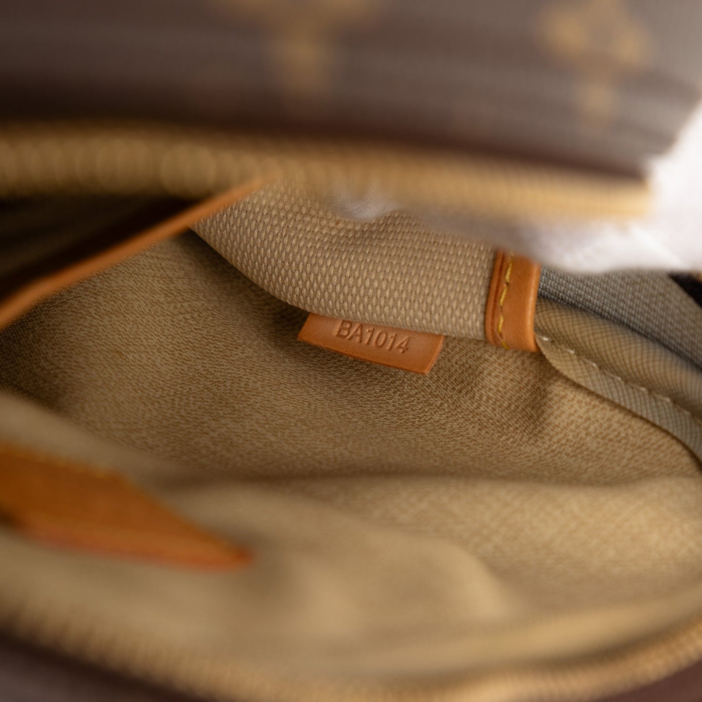 Louis Vuitton Monogram Trouville