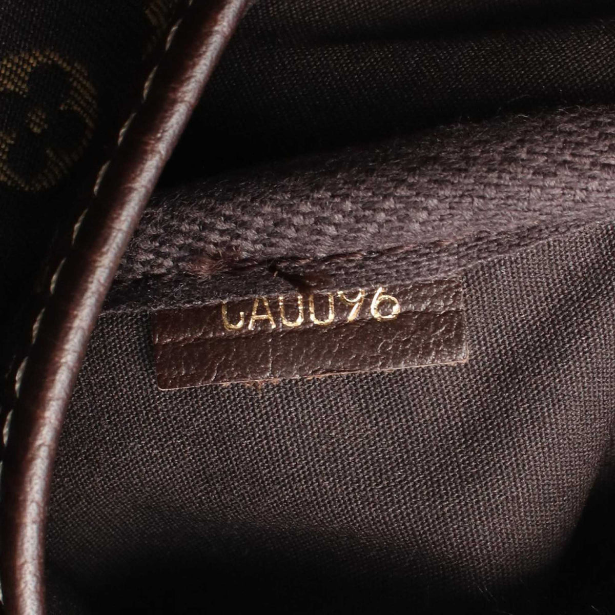 Louis Vuitton Monogram Mini Lin Saumur XL