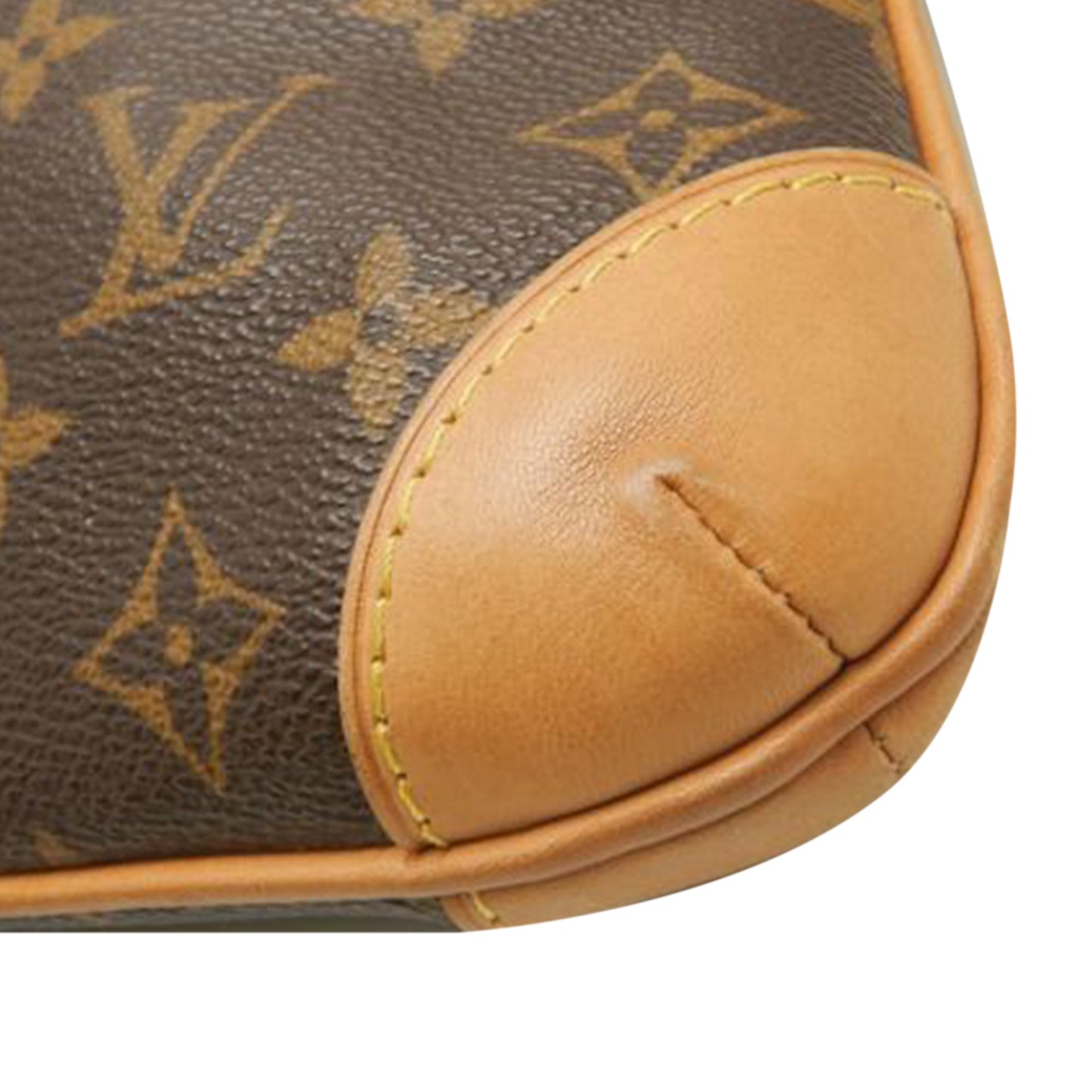 Louis Vuitton Monogram Coussin GM