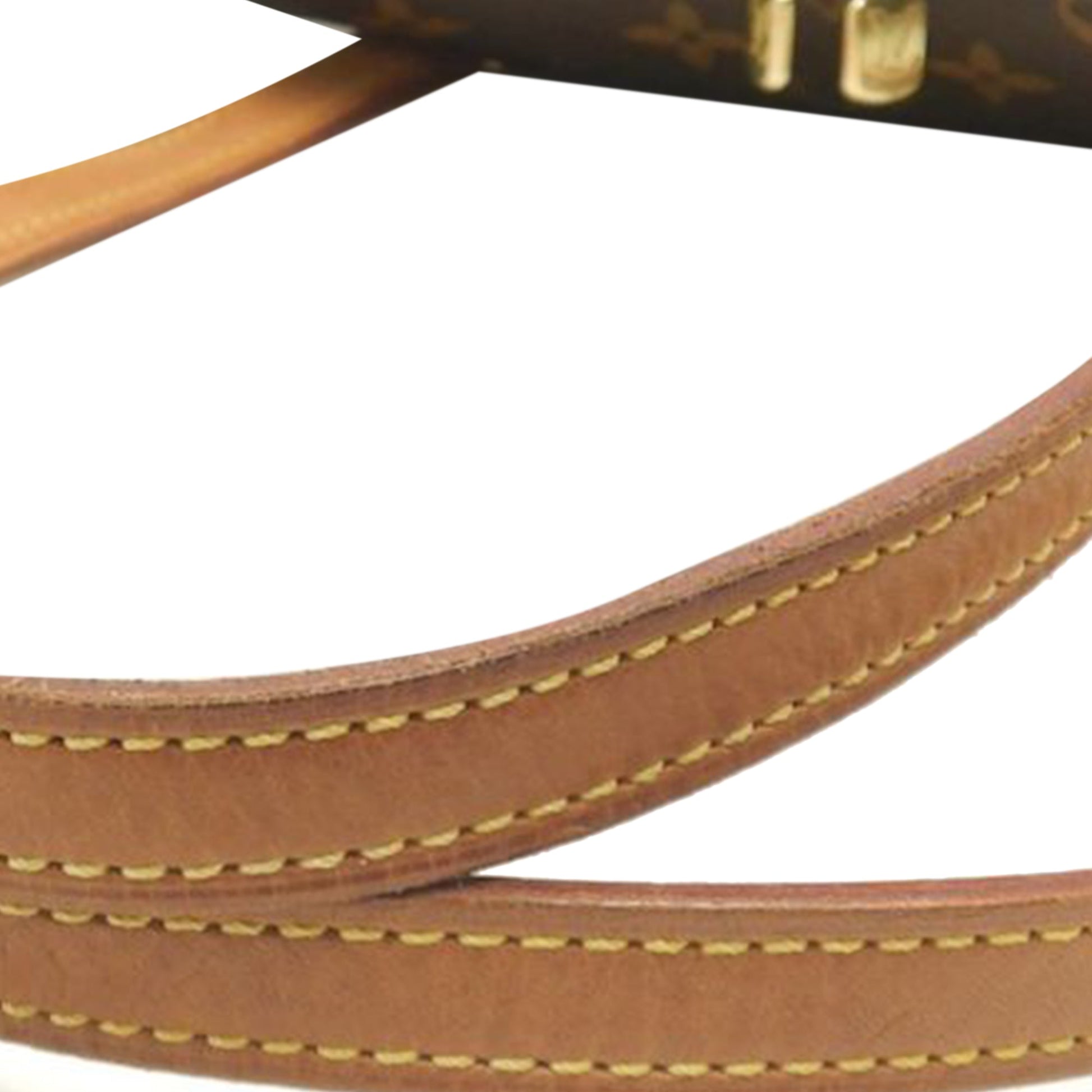 Louis Vuitton Monogram Coussin GM