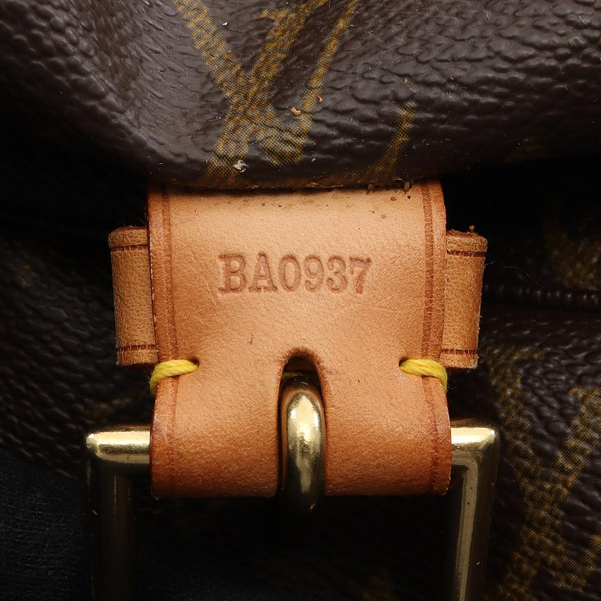 Louis Vuitton Monogram Montsouris GM