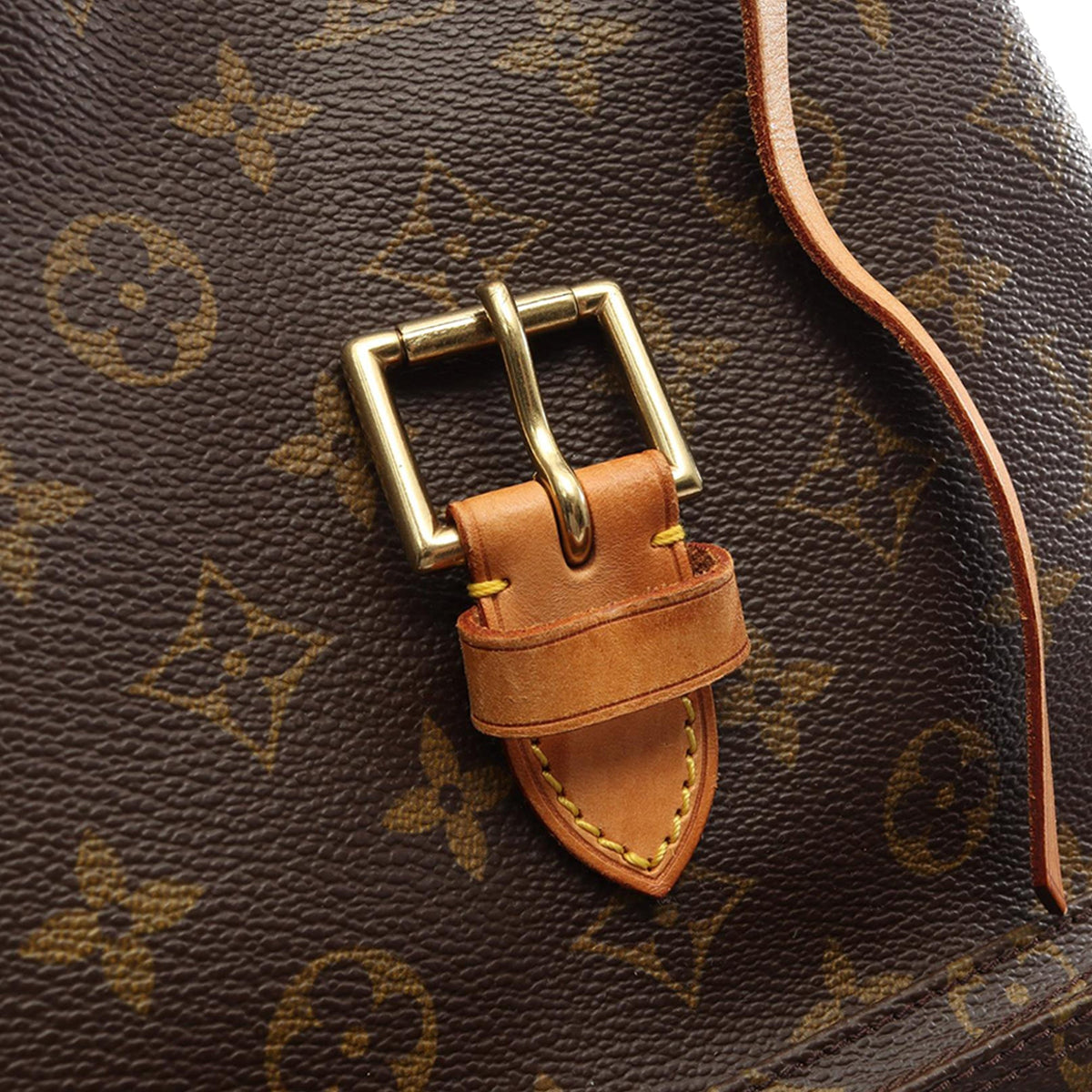 Louis Vuitton Monogram Montsouris GM