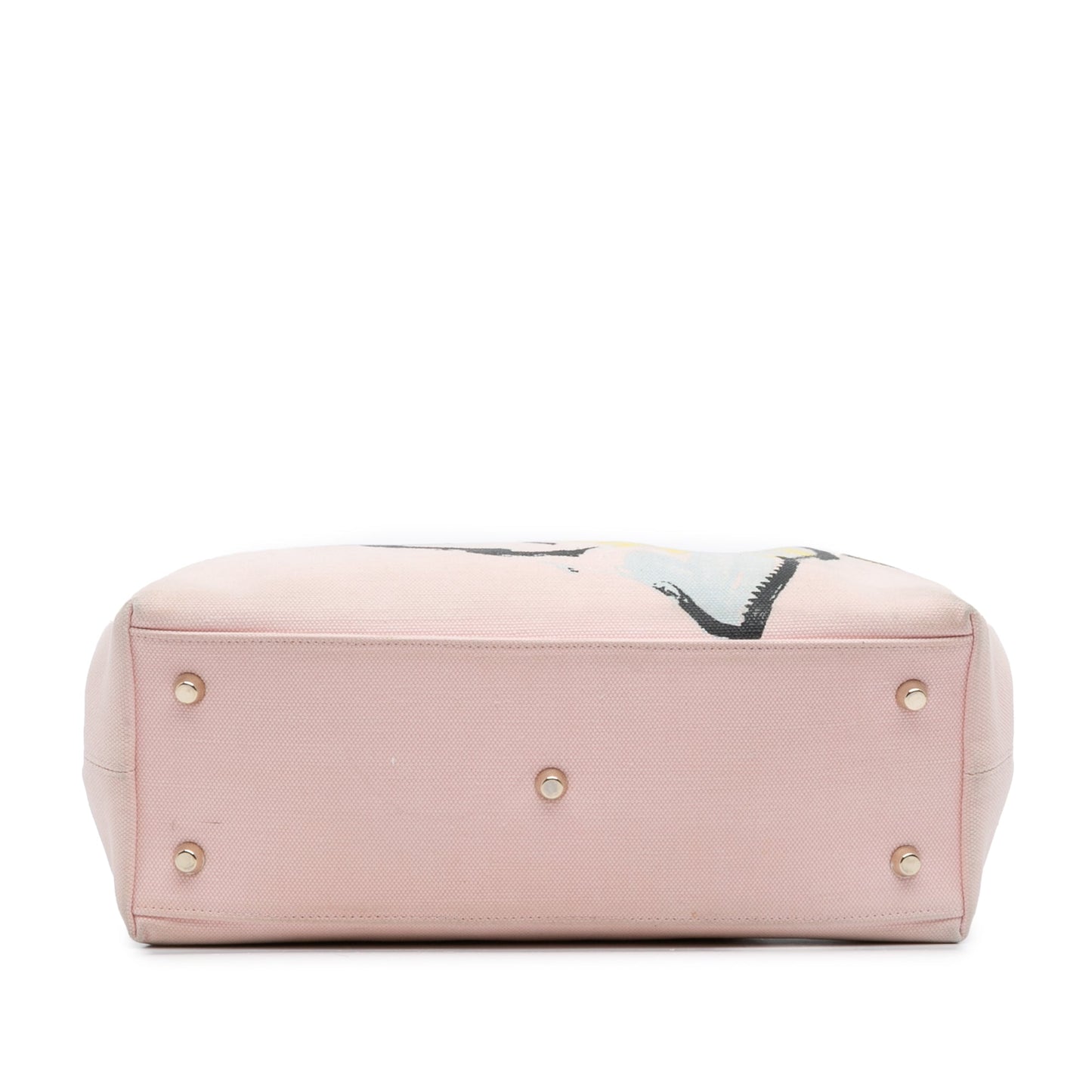 Dior Limited Edition Medium Canvas Floral Printed Diorissimo Satchel