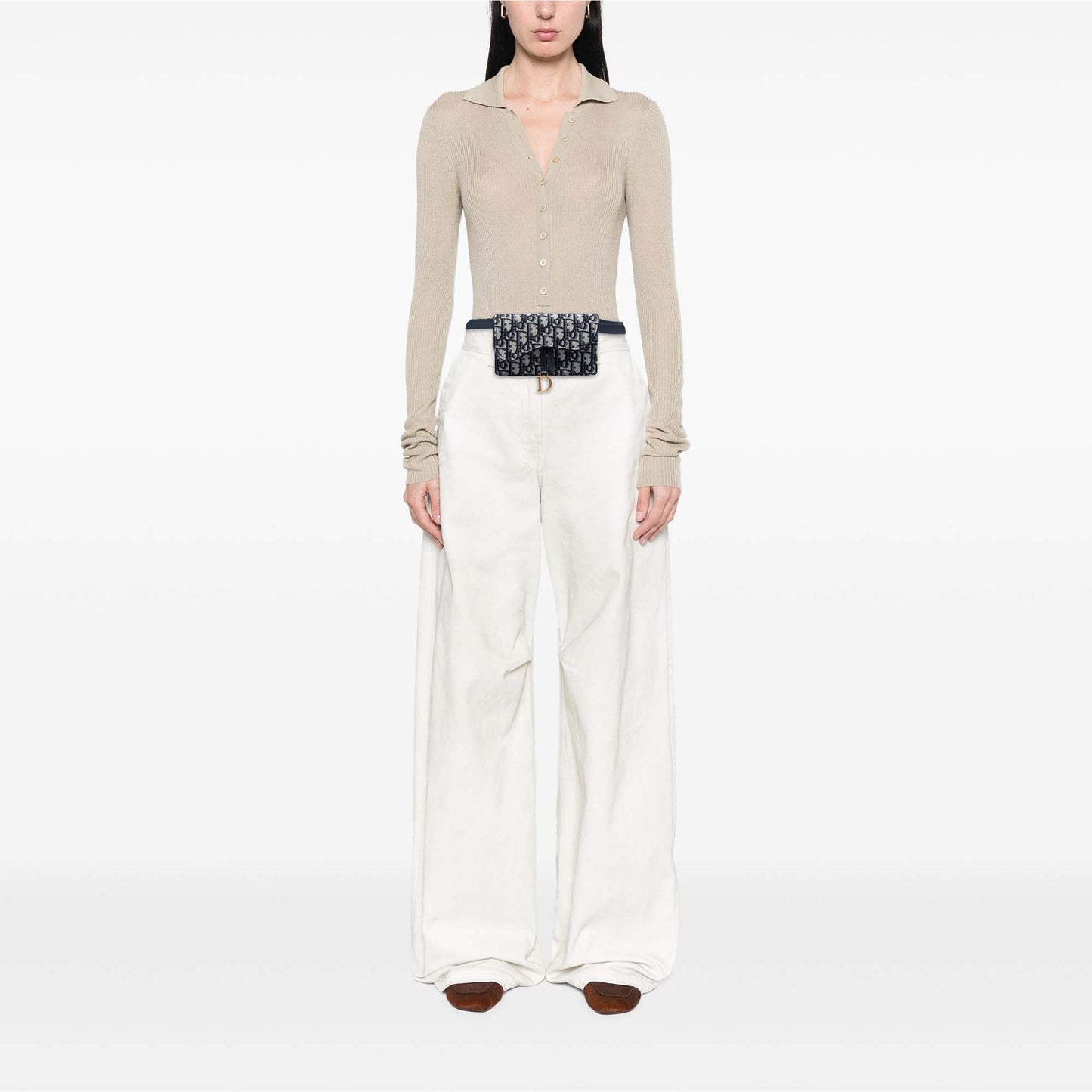 Dior Oblique Canvas Saddle Belt Bag