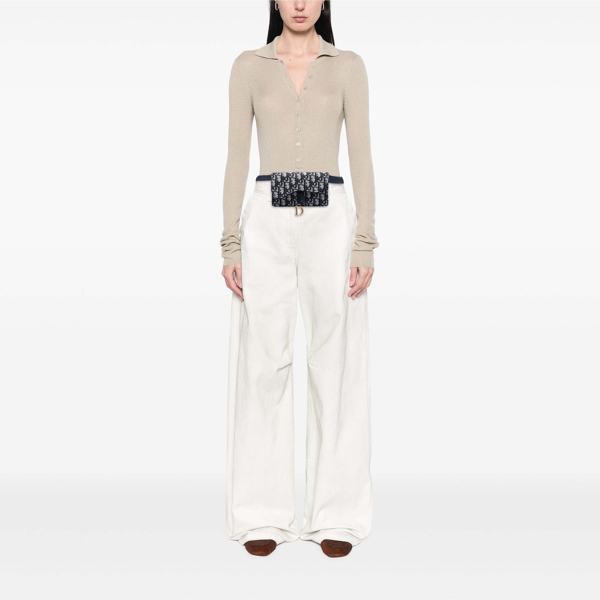 Dior Oblique Canvas Saddle Belt Bag