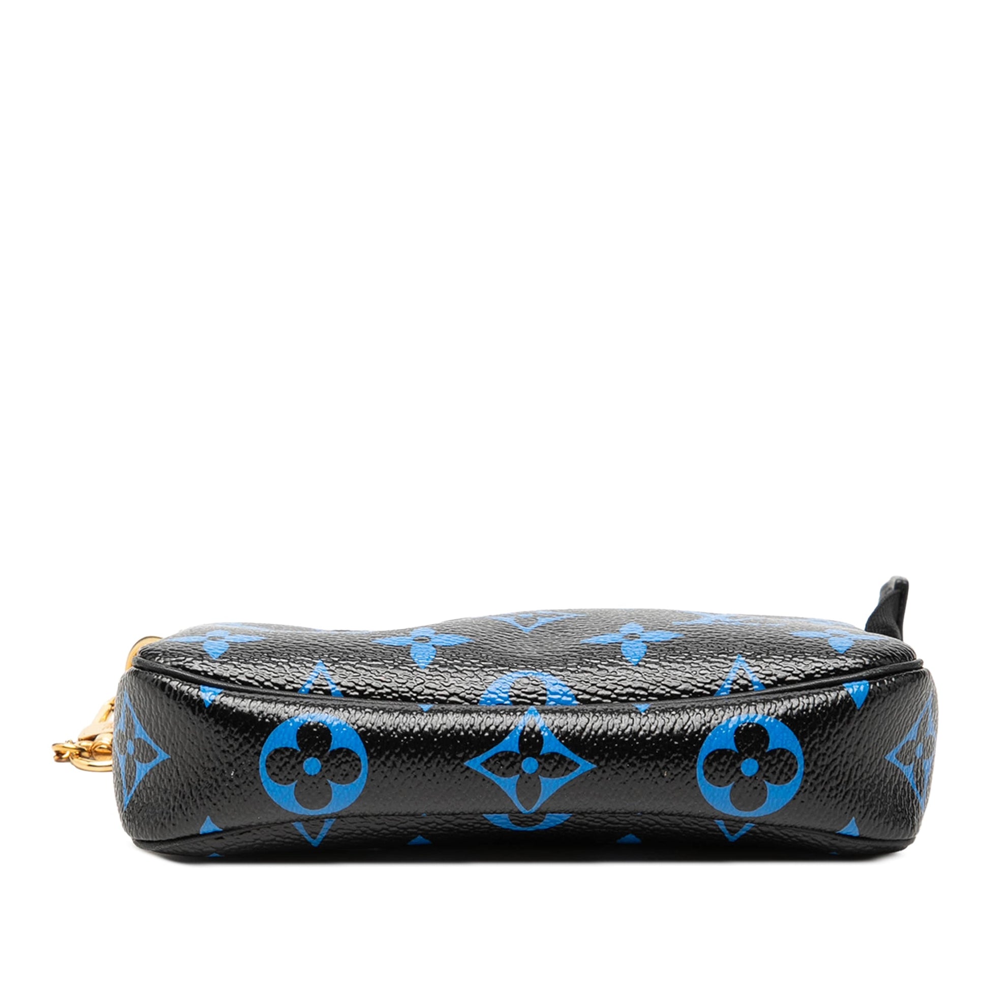 Louis Vuitton Colored Monogram Mini Pochette Accessories