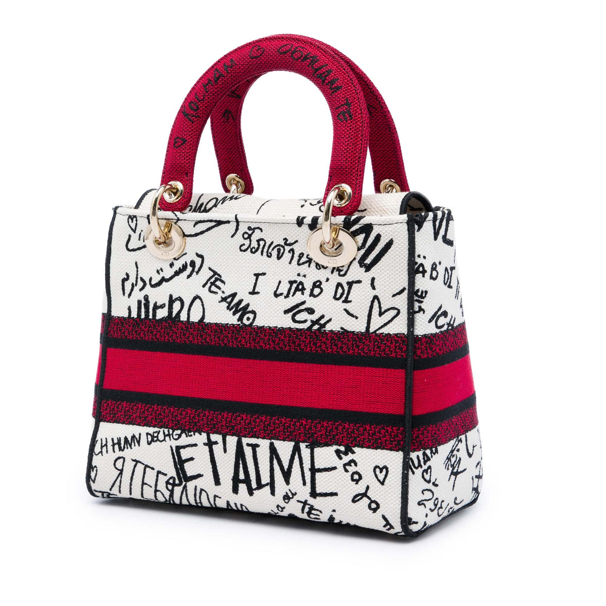 Dior DiorAmour Medium Embroidered Canvas Graffiti Lady D Lite