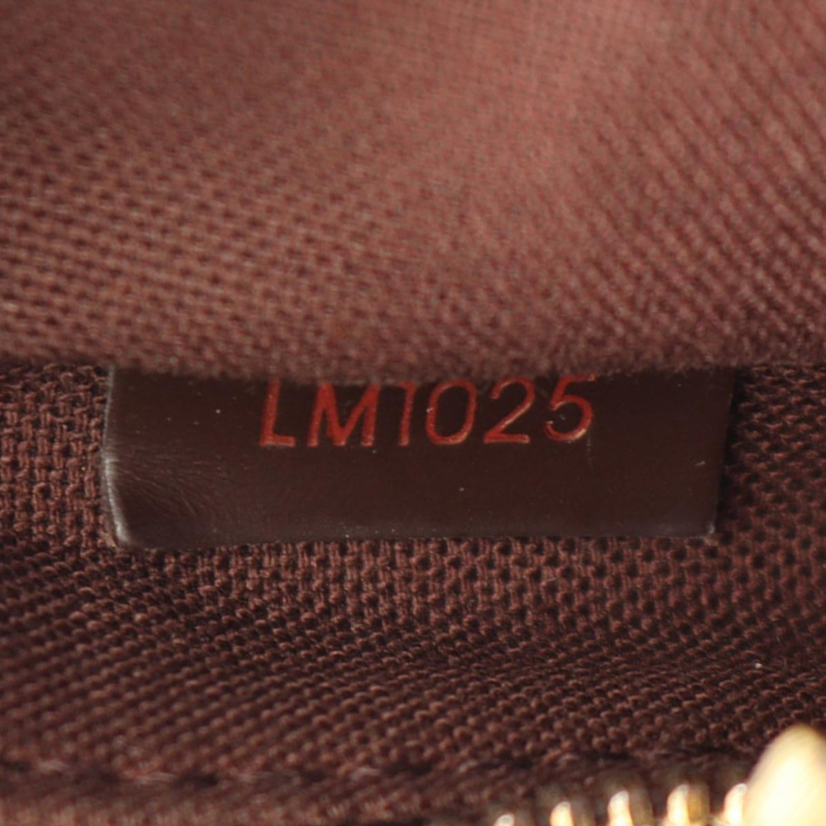 Louis Vuitton Damier Ebene Olav PM — Brown