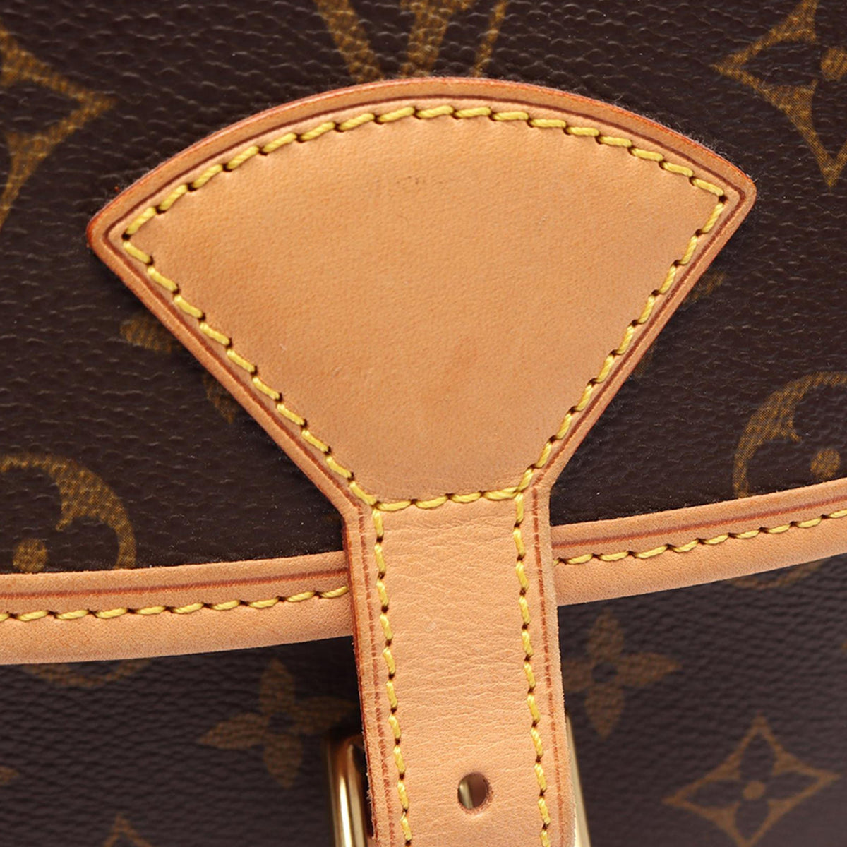 Louis Vuitton Monogram Sologne